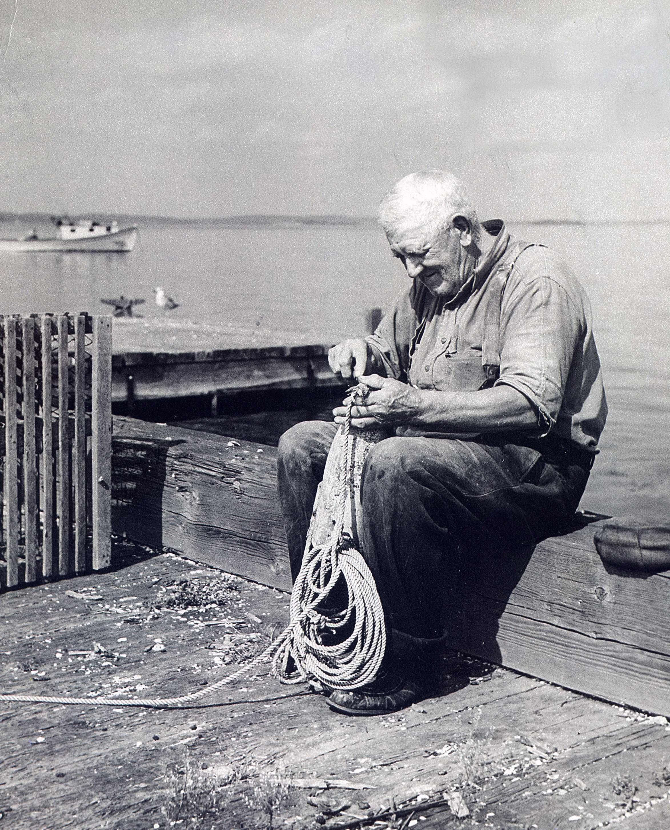 An older man with white hair and glasses sitting on a wooden dock by the water, coiling a long rope, with boats and a jet airplane in the sky in the background.