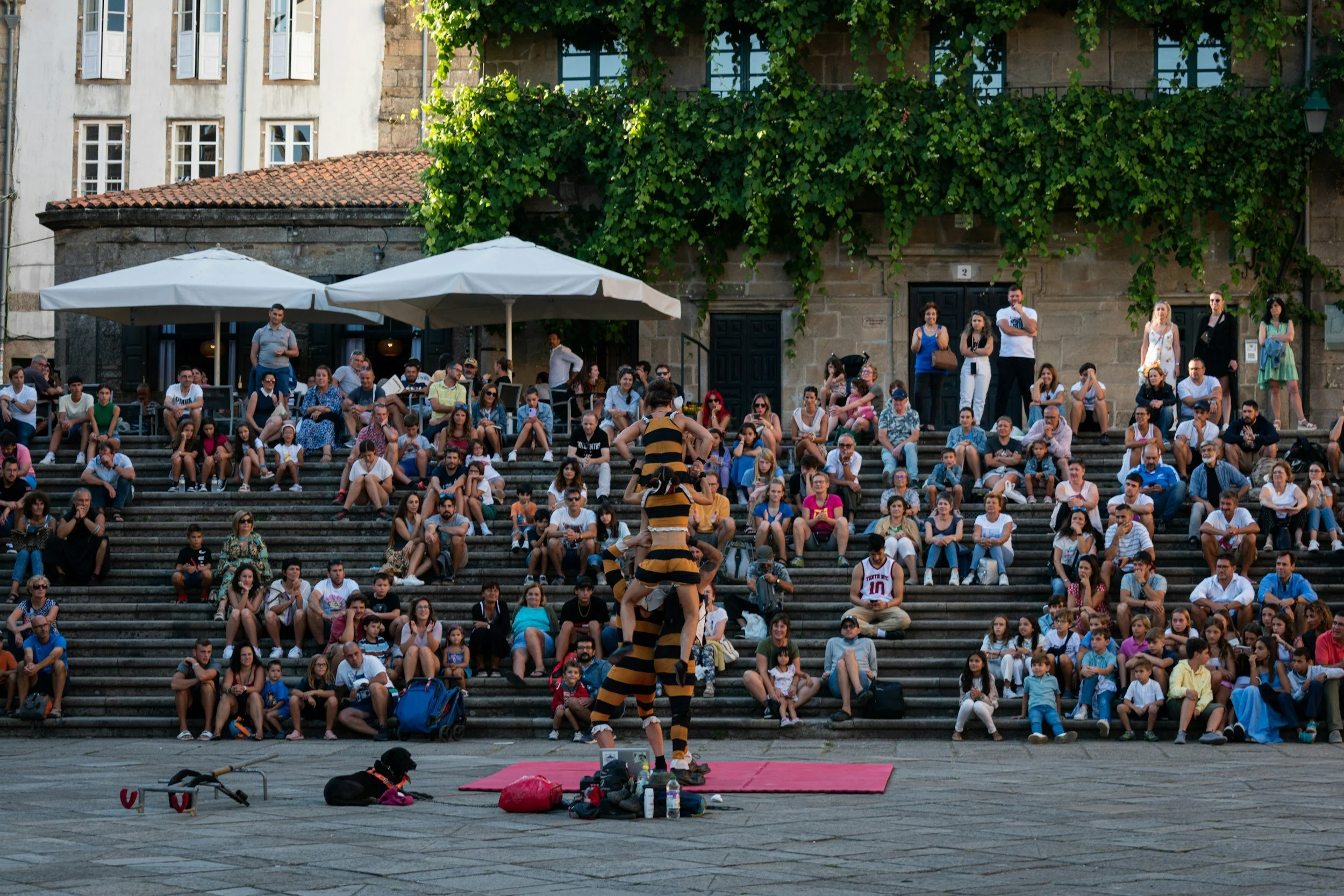 A street performer dressed in a black and yellow striped costume performs on a red carpet in front of a large crowd seated on stone steps in an outdoor urban setting. The crowd includes people of various ages watching the performance, with some taking photos or videos. There are large umbrellas providing shade, and a historic building with ivy-covered walls in the background.