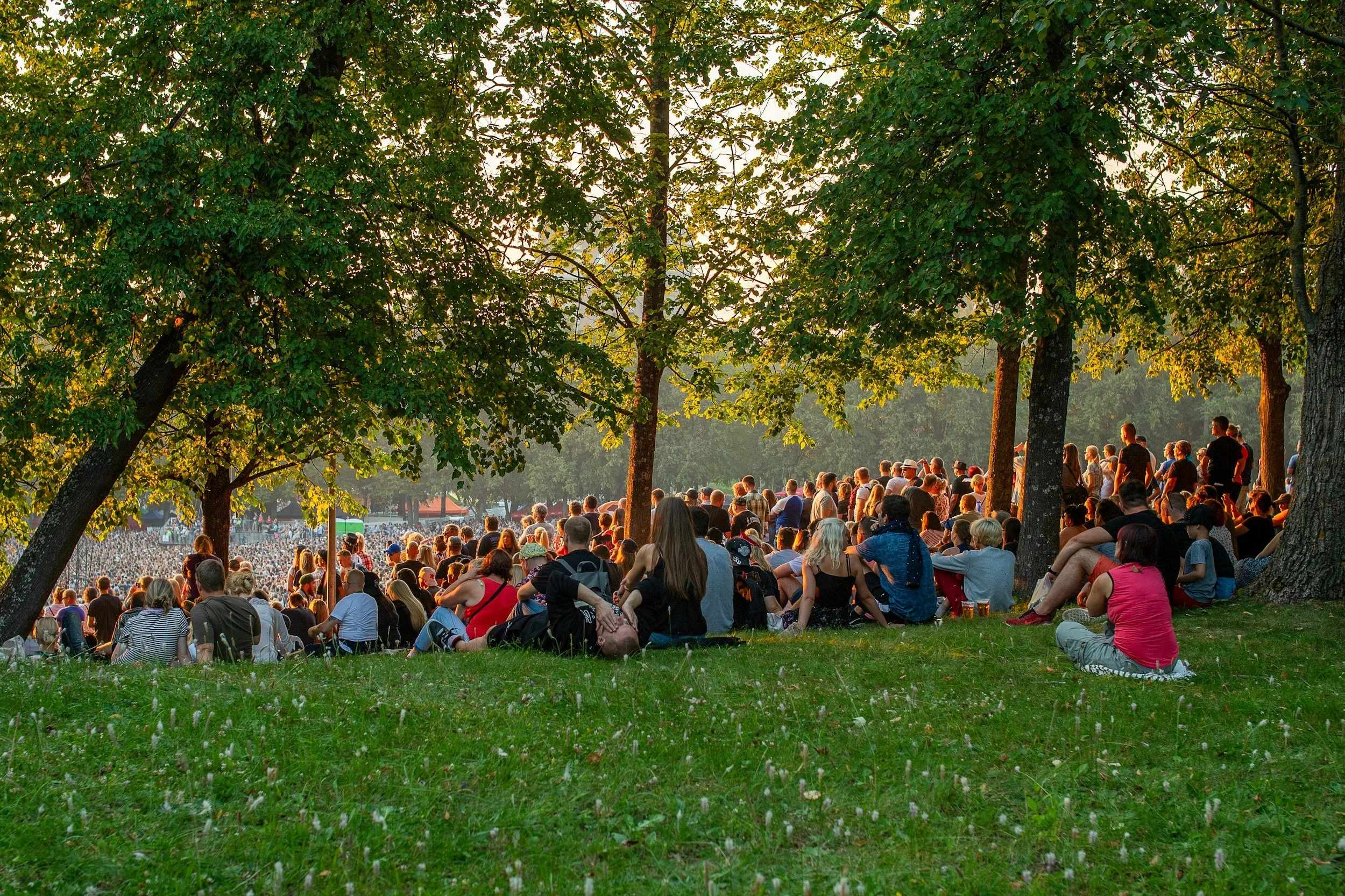 Crowd of people gathered in a park under tall trees during sunset.