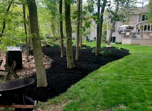 Backyard with newly mulched flower bed, trees, and a grassy lawn area.