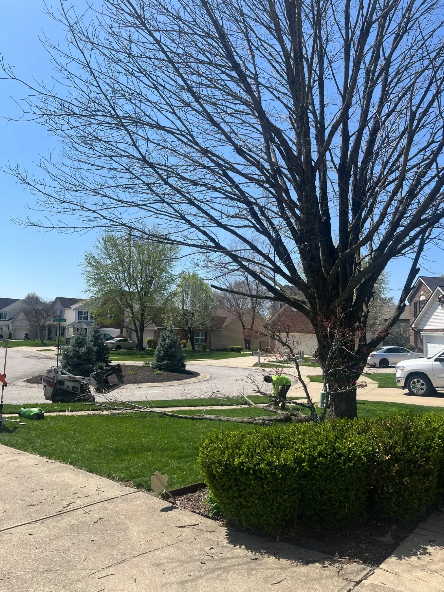 A large tree has fallen across a residential lawn, with some branches and debris scattered on the ground. A person appears to be inspecting the damage near the base of the tree. There is a damaged vehicle on the driveway, and a bucket and other tools