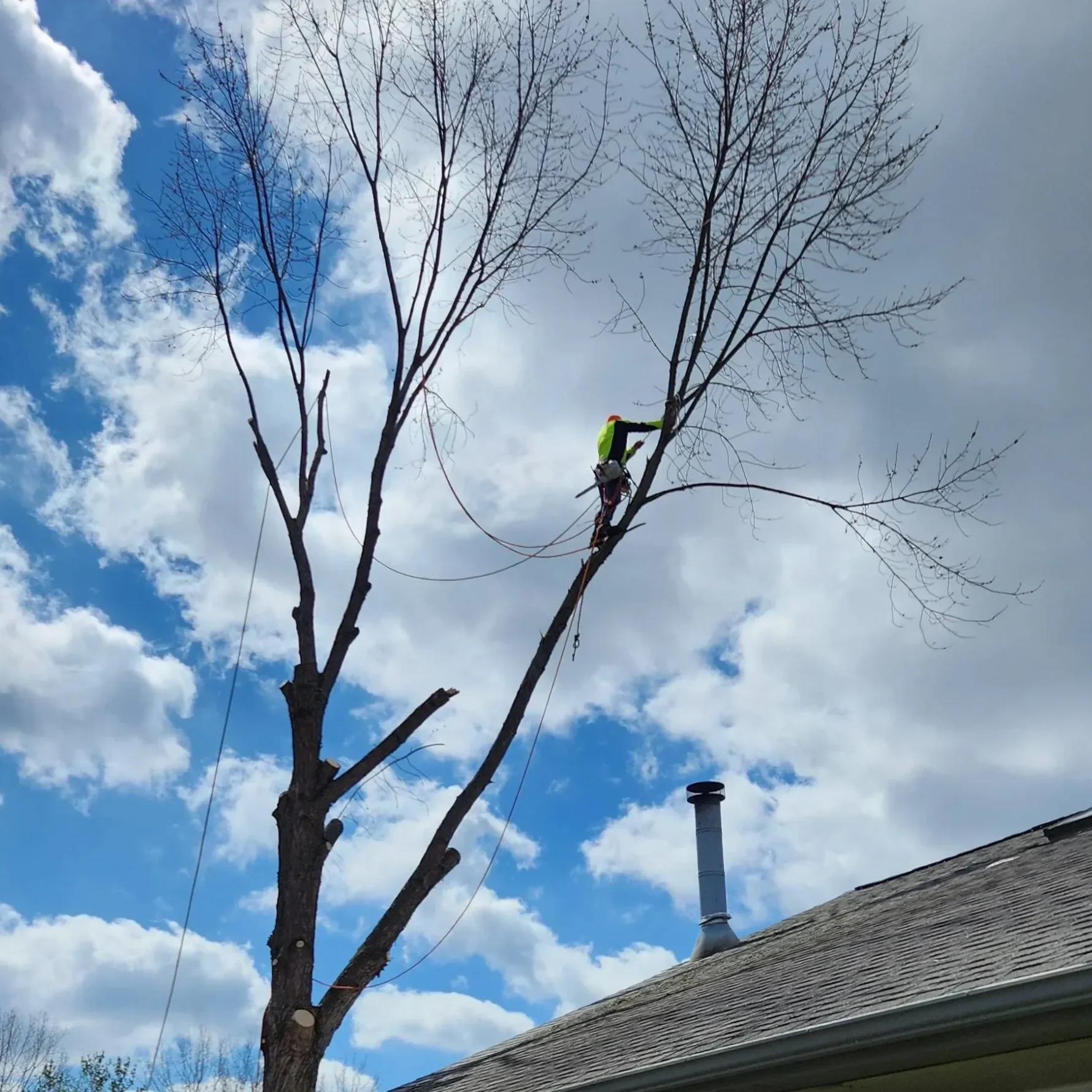 A person in a high-visibility vest and helmet is trimming trees on a roof using a safety harness. The sky is partly cloudy with blue skies and white clouds, and a chimney is visible on the roof.