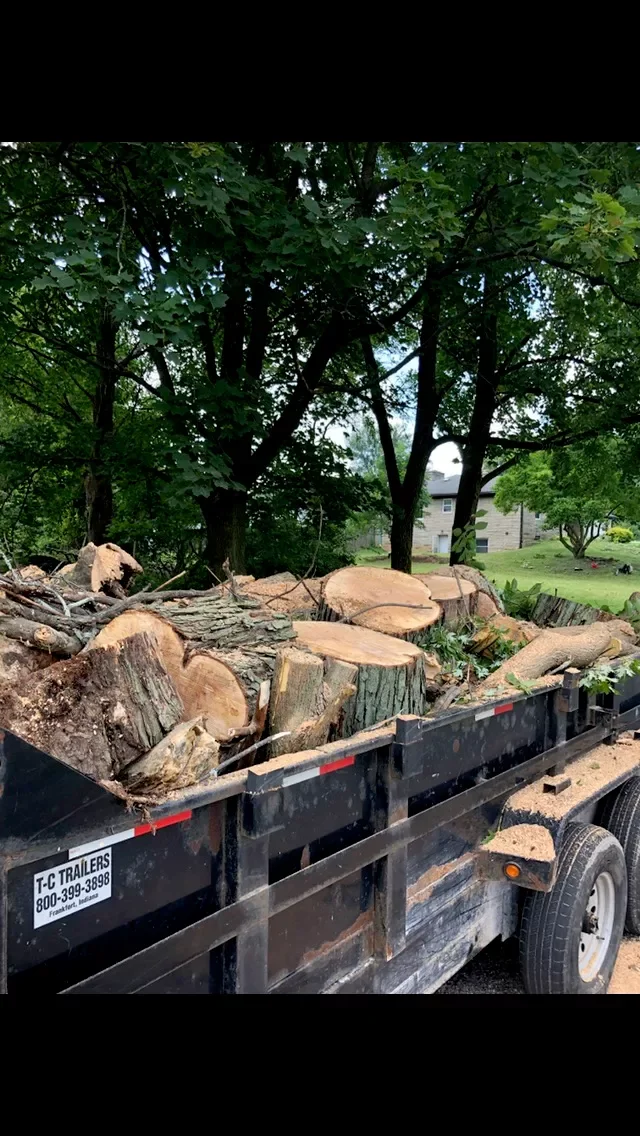 Pickup truck hauling cut tree logs in a backyard with trees and a house in the background.