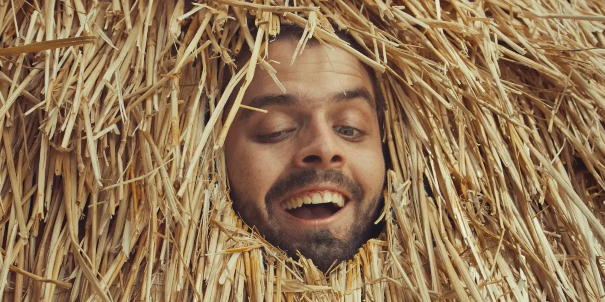 Oreo_Haystack.jpg