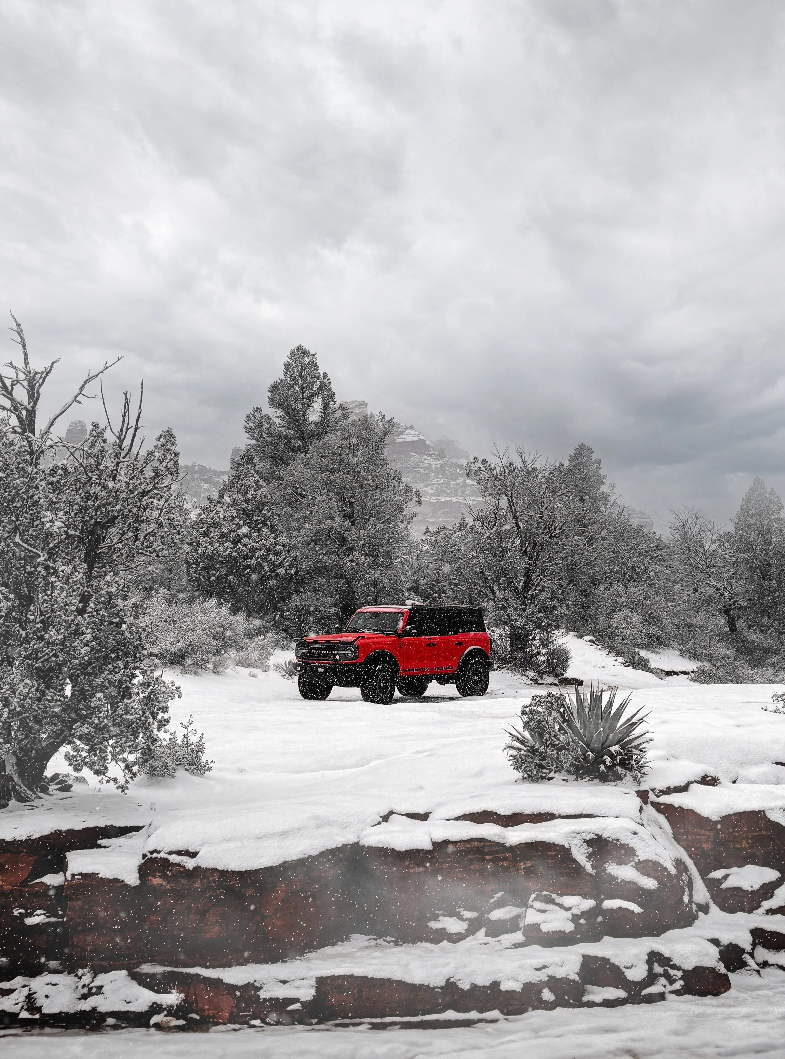 A red off-road vehicle parked on snow-covered ground amidst trees with snow and distant mountains in the background under a cloudy sky.