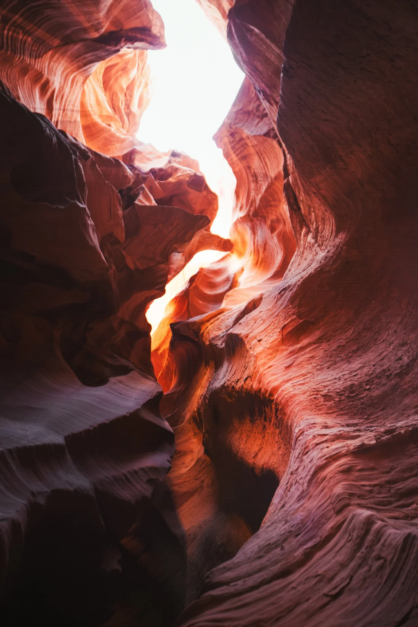 A view from inside a narrow slot canyon with smooth, flowing rock formations in shades of orange, pink, and brown, and sunlight illuminating the top opening.
