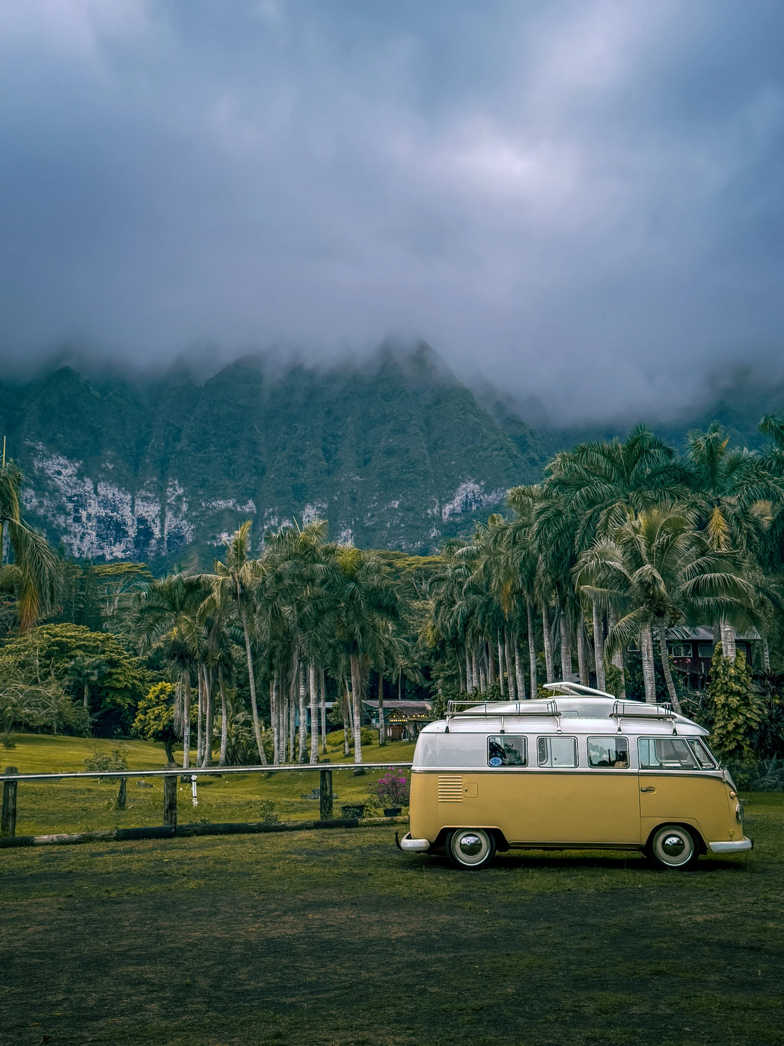 A yellow vintage van parked on a grassy area near palm trees with a mountain and cloudy sky in the background.