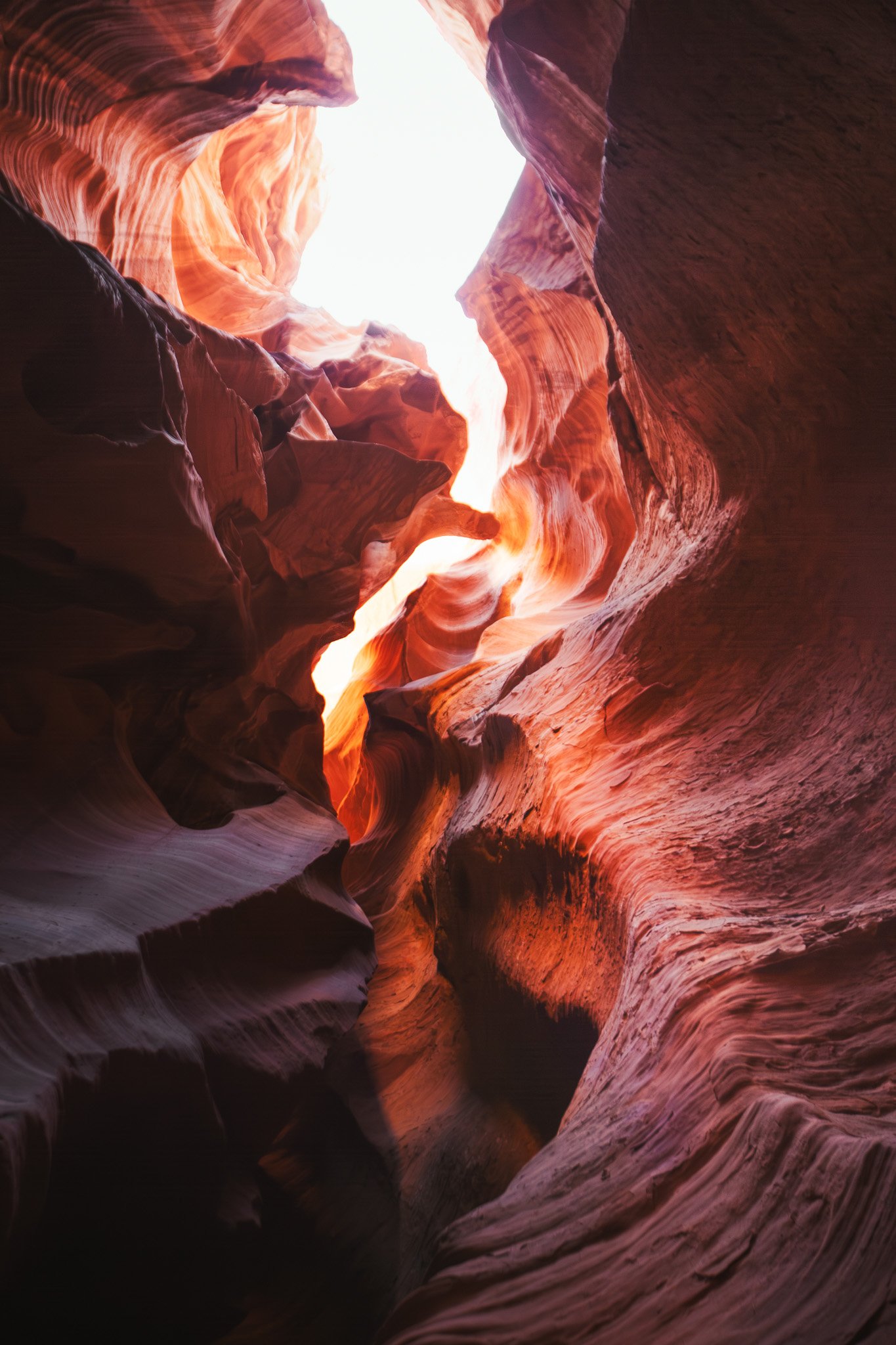 View inside a narrow slot canyon with smooth, curved, layered rock walls in shades of orange, red, and brown, with light shining from above.