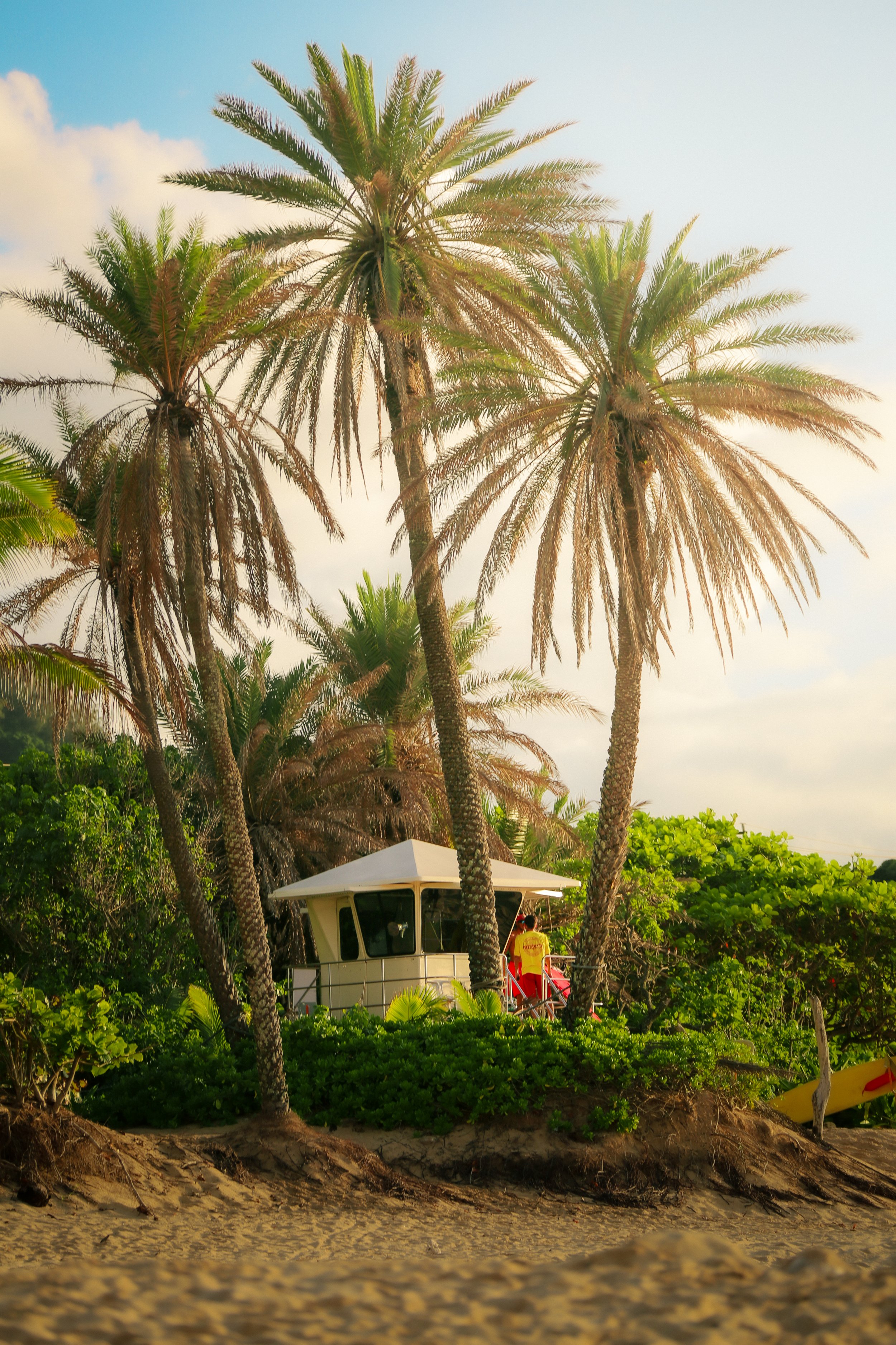 Beach scene with tall palm trees, green bushes, and a white lifeguard tower with windows and a roof. A person in yellow shirt and red shorts is near the tower, under the trees. The sky is partly cloudy with blue sky visible.