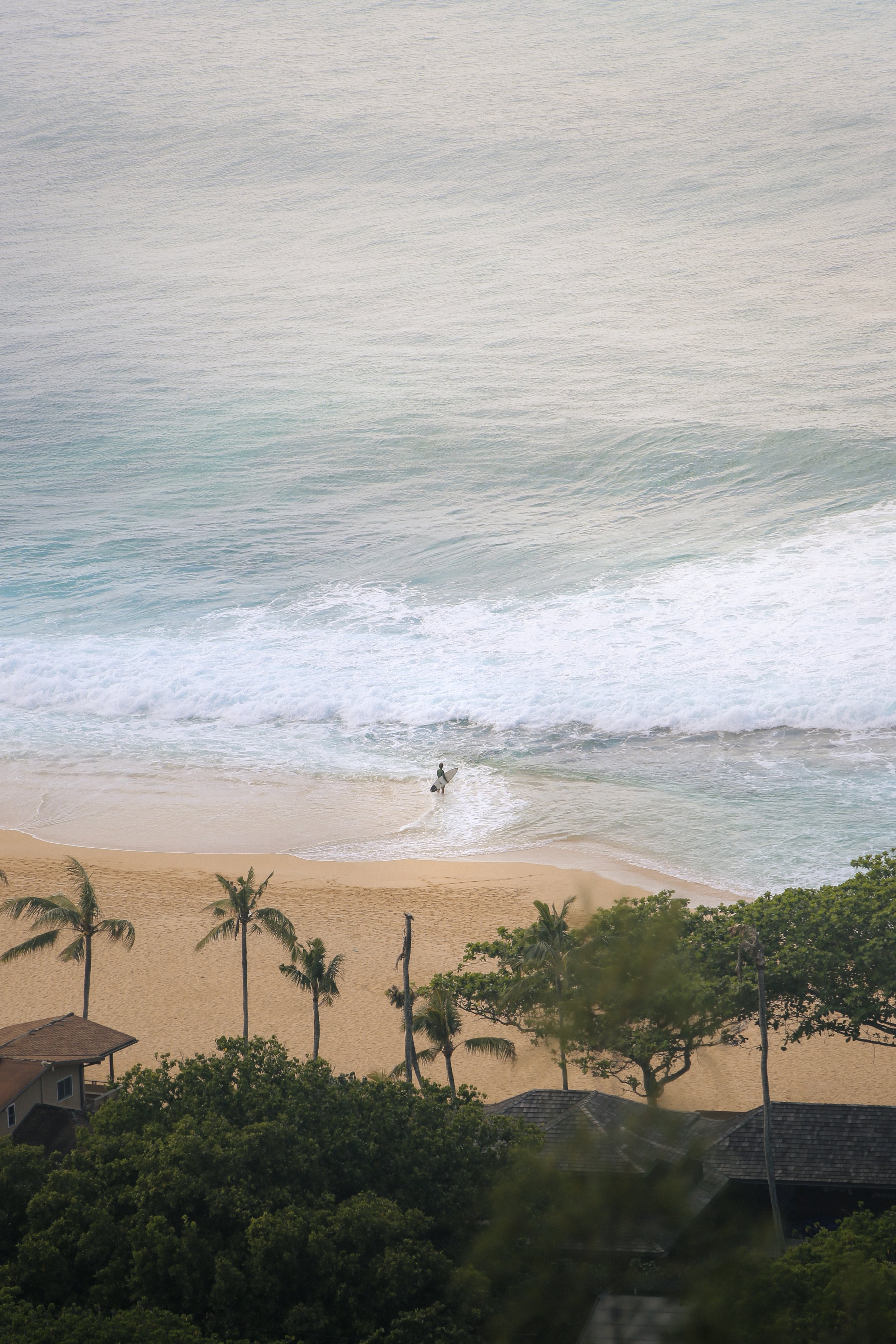 Beach with palm trees, sandy shore, ocean waves, and a person holding a surfboard walking toward the water.