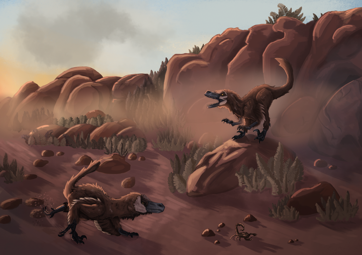 Velociraptor