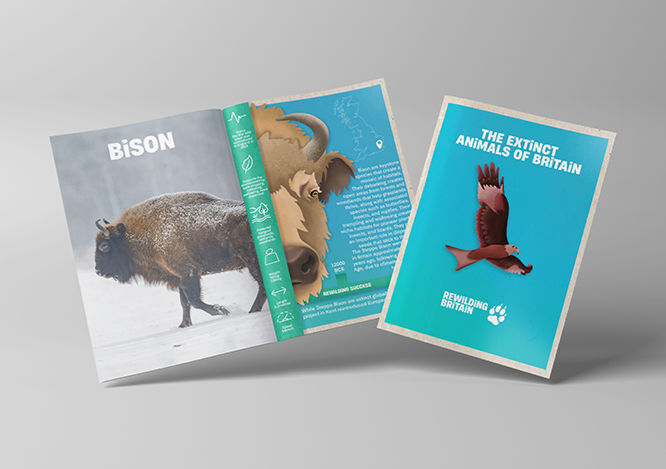 Rewilding Britain Leaflet