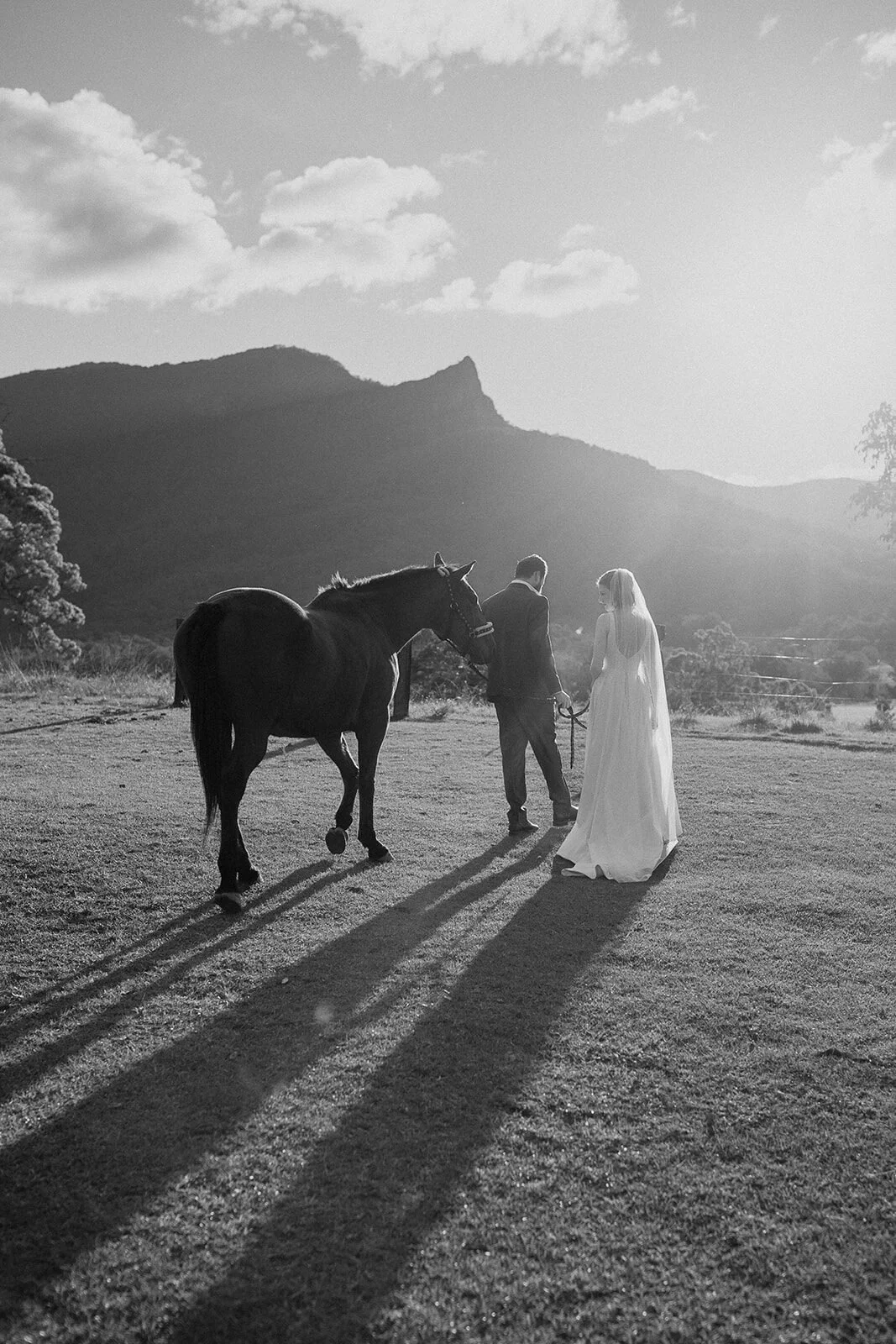Black and white of the couple walking a horse in long shadows, Sam and Tom's elopement at Highfield Farm, Northern Rivers