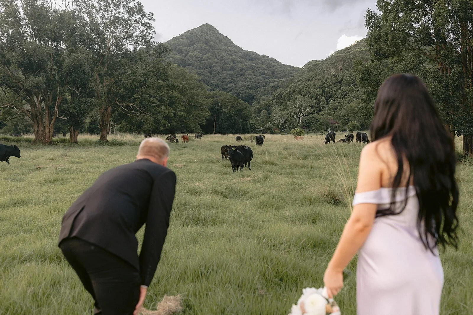 Groom crouching as the bride looks on in the paddock, Kobi and Darren's elopement at Butterfly Lane, Byron Bay hinterland