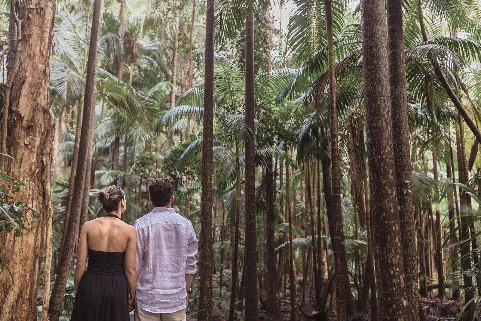 Couple seen from behind among the palms and trees, Ben and Chloe's marriage proposal in Byron Bay
