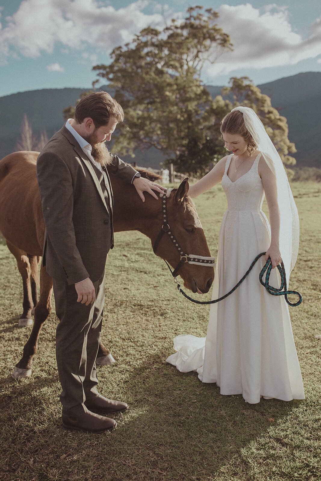 Bride stroking a horse beside the groom, Sam and Tom's elopement at Highfield Farm, Northern Rivers