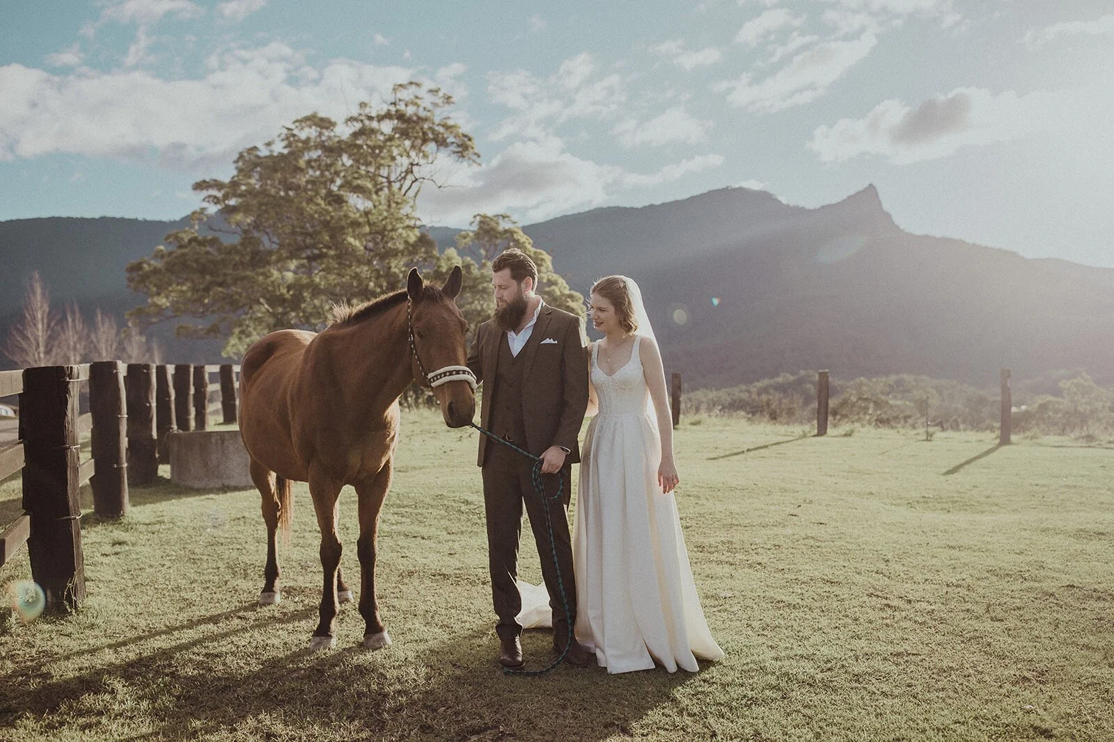 Groom, bride and a bay horse at the fence, Sam and Tom's elopement at Highfield Farm, Northern Rivers