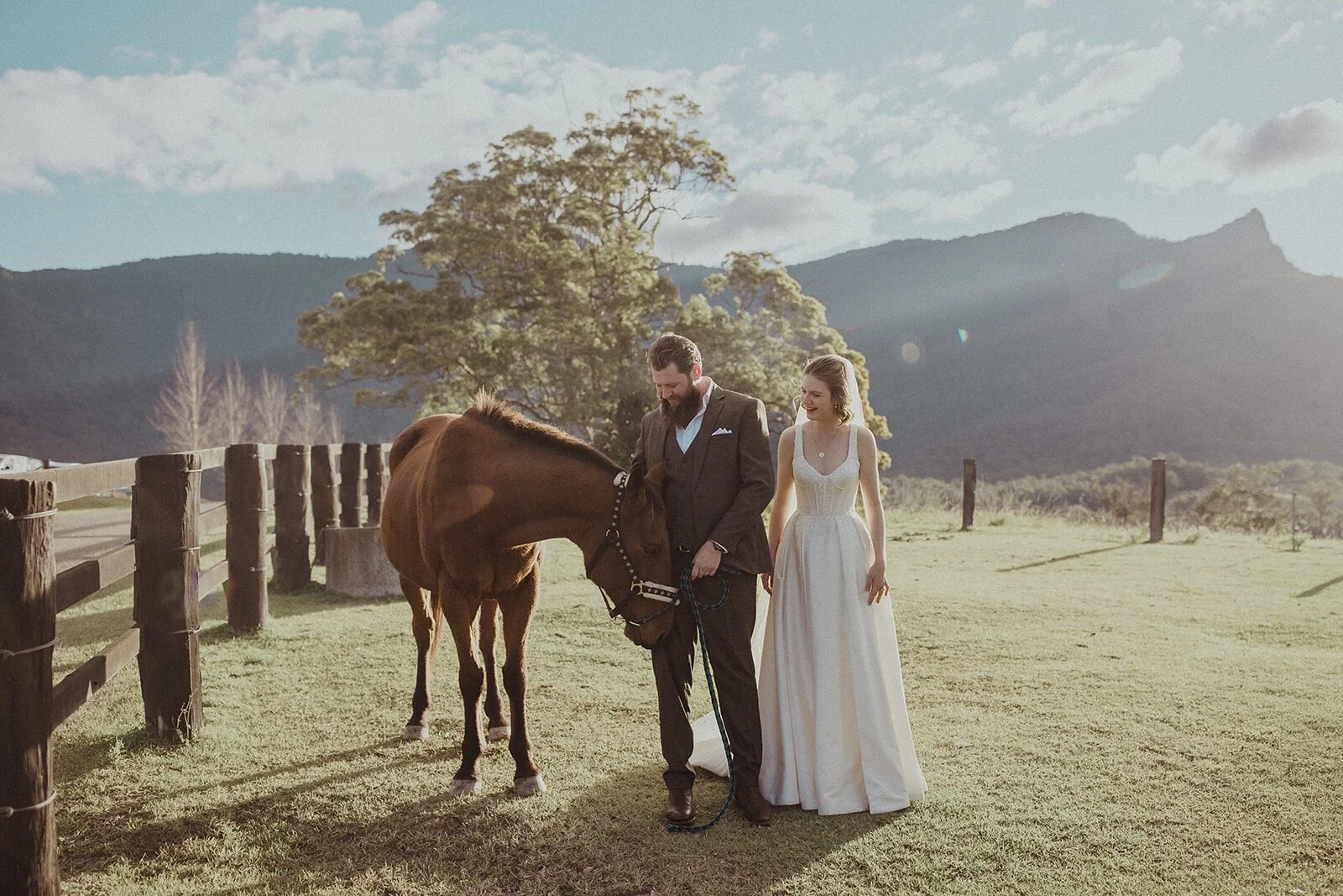 Couple with a horse in the paddock, Sam and Tom's elopement at Highfield Farm, Northern Rivers