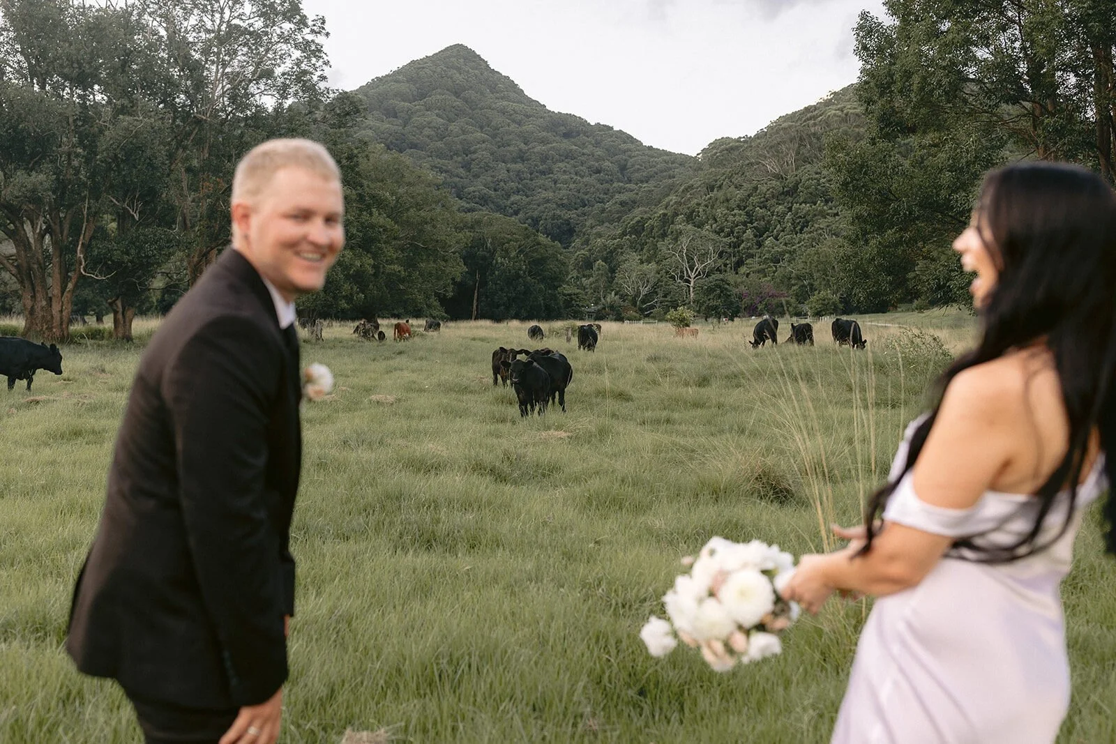 Couple laughing in the paddock with cows behind, Kobi and Darren's elopement at Butterfly Lane, Byron Bay hinterland