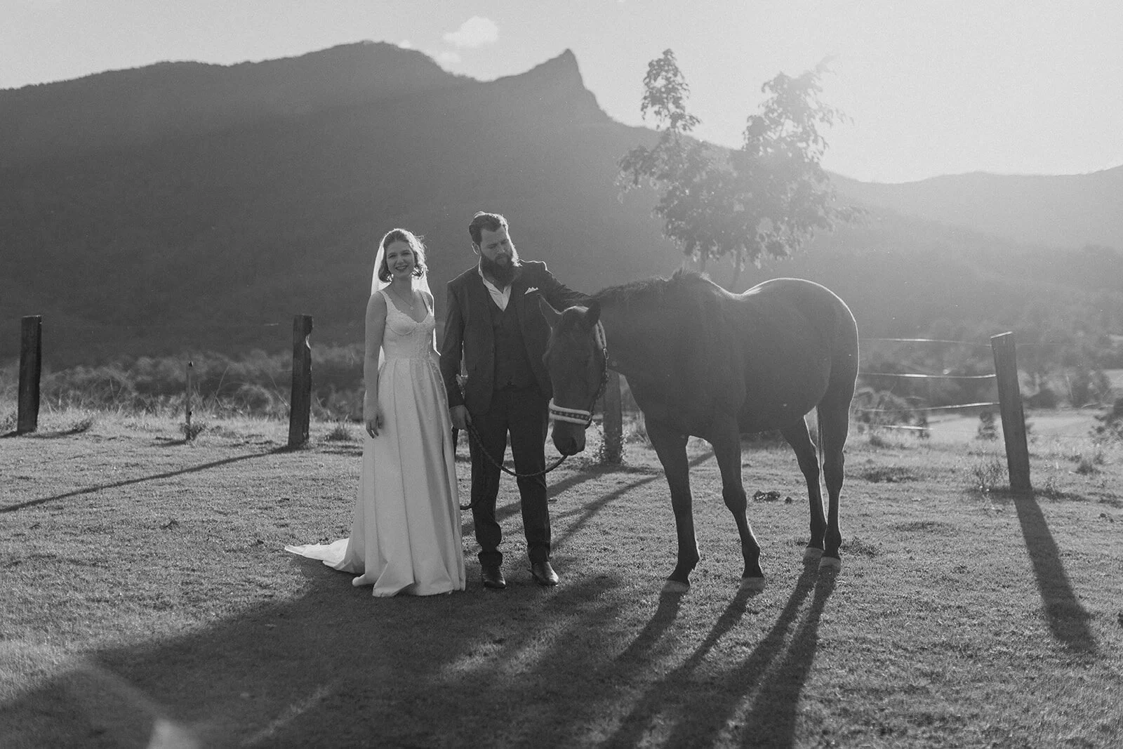 Black and white of the couple with a horse and mountains, Sam and Tom's elopement at Highfield Farm, Northern Rivers
