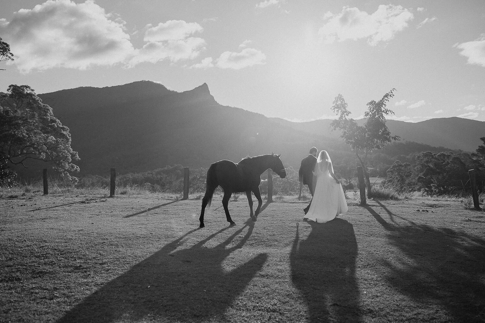 Black and white of the couple and horse silhouetted by the sun, Sam and Tom's elopement at Highfield Farm, Northern Rivers