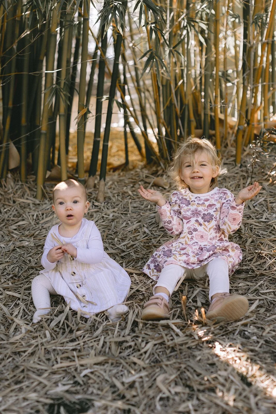 Two sisters sitting side by side in the bamboo, the toddler throwing her arms up and laughing