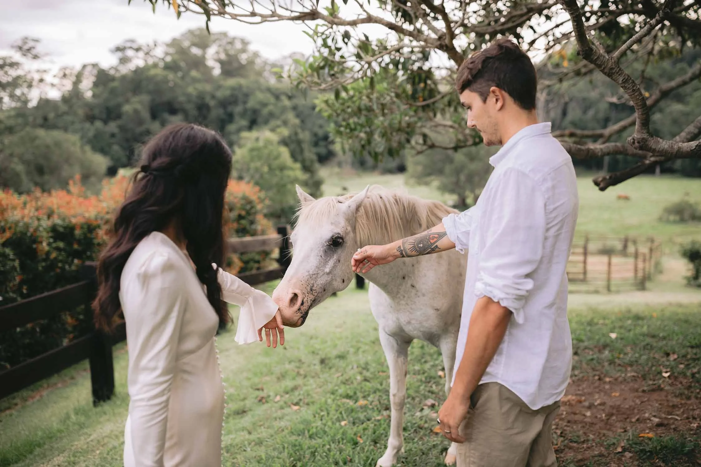 Bride and groom with a white horse in a Byron Bay paddock during their elopement