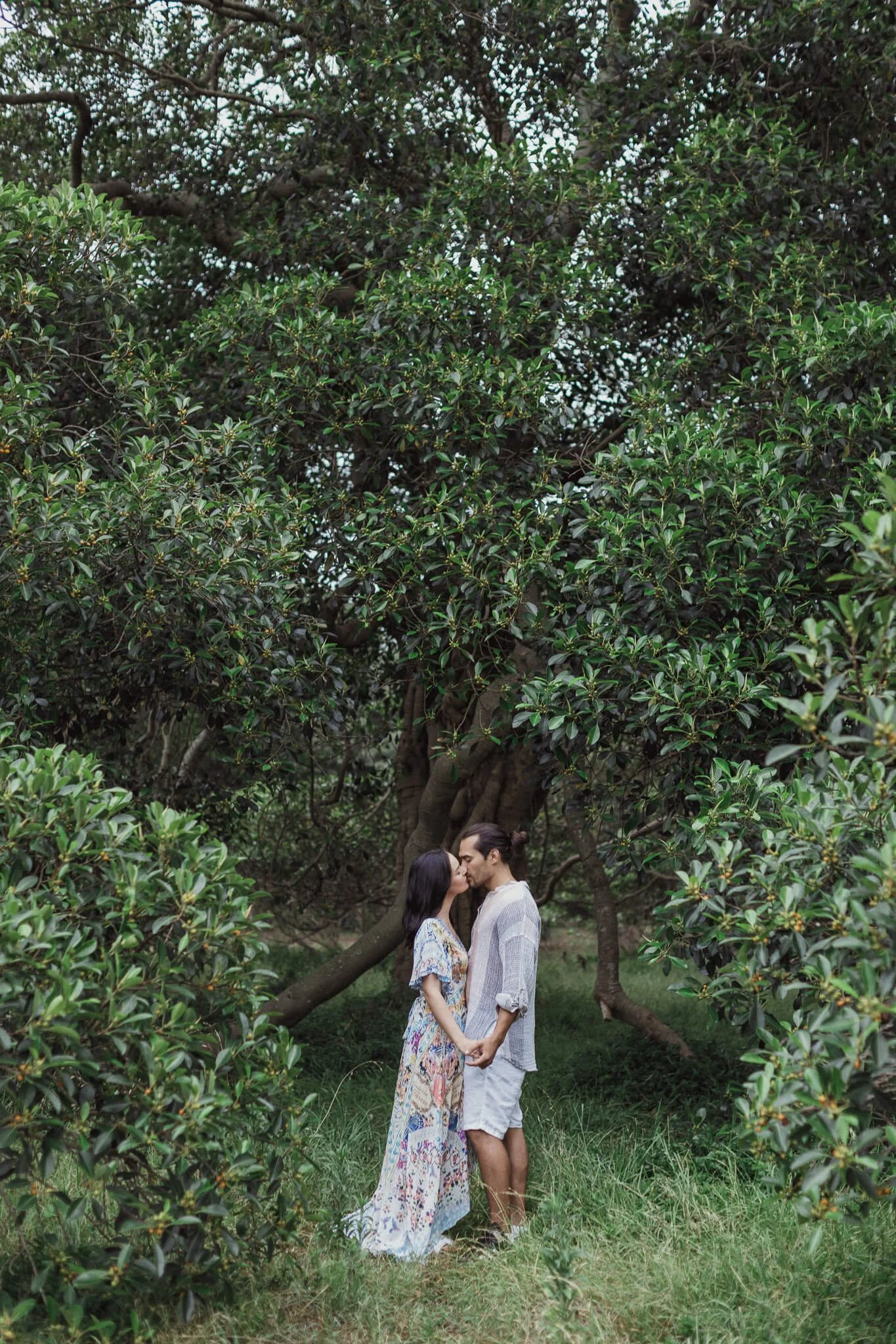 Couple beneath a sprawling tree canopy in Centennial Park, Sydney