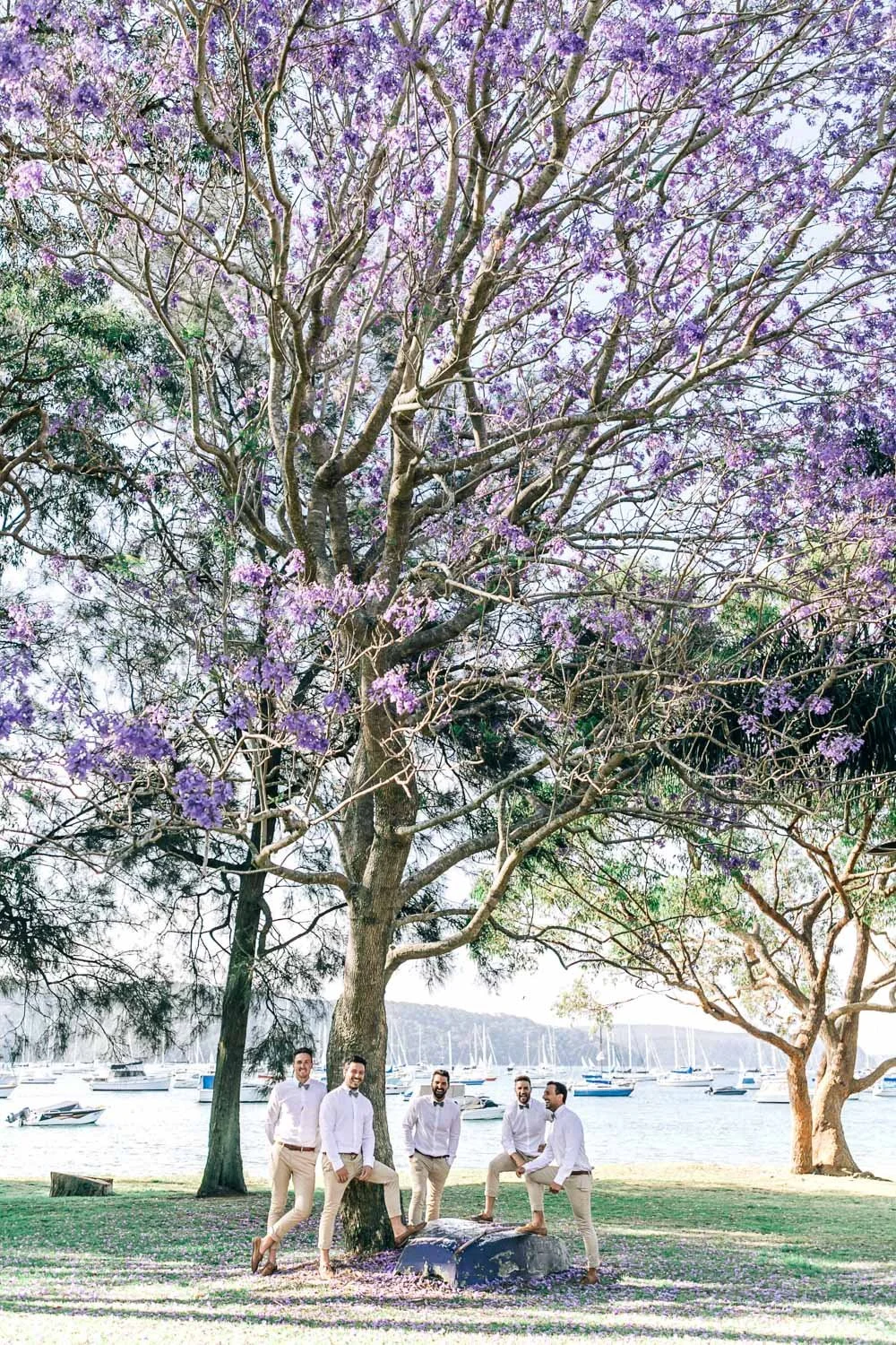 Purple jacaranda trees in bloom above Bilgola Beach on Sydney’s Northern Beaches