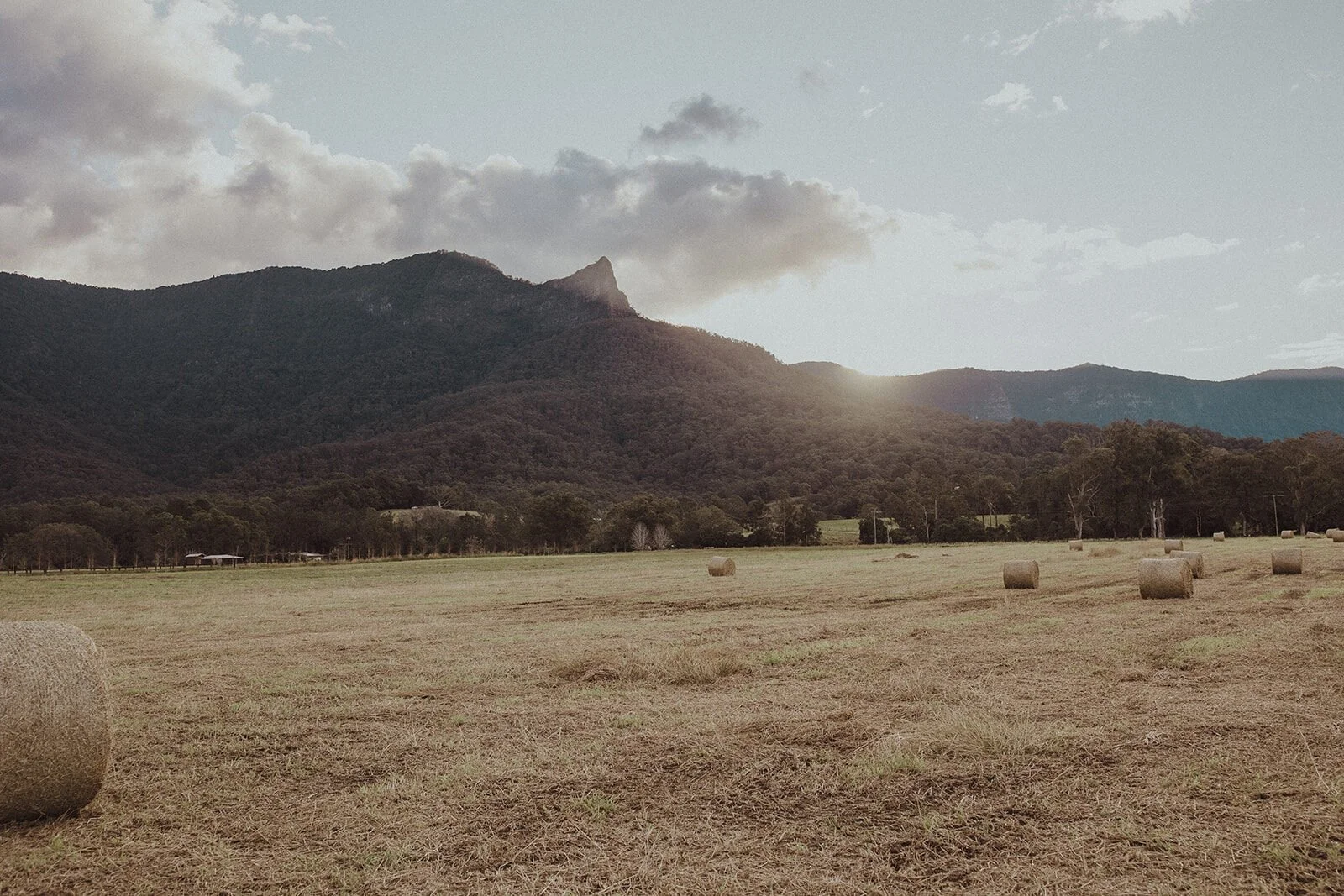 Hay field at sunset with mountains behind, Sam and Tom's elopement at Highfield Farm, Northern Rivers