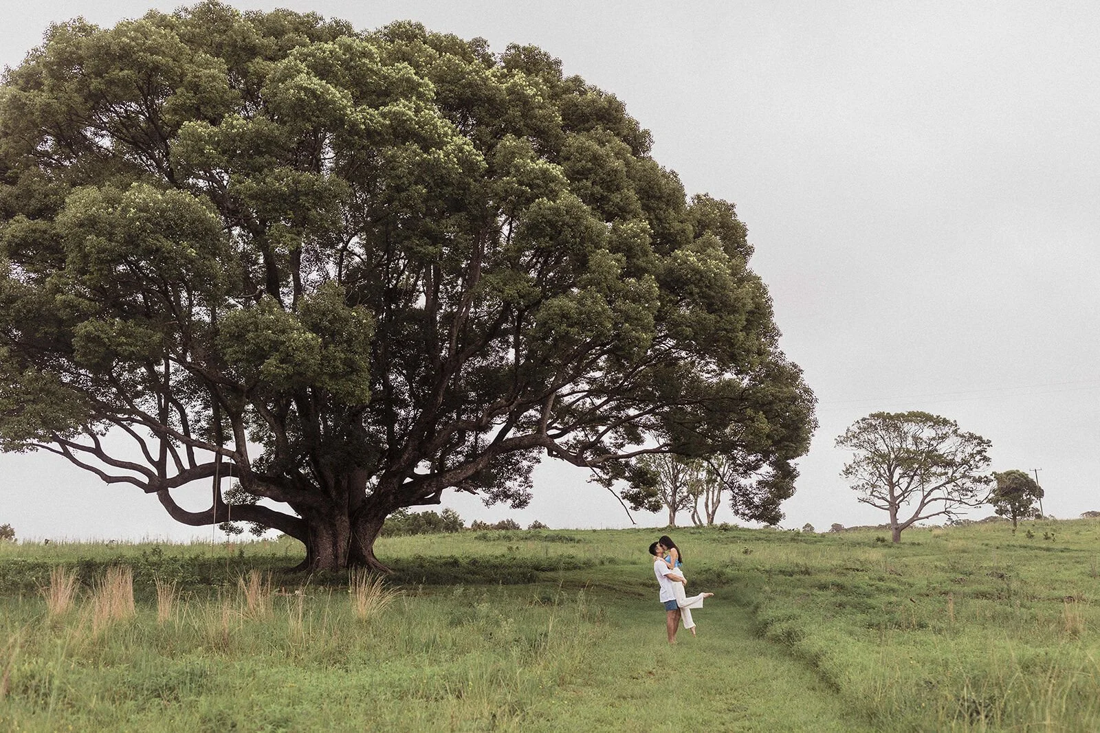 Couple tiny and embracing in the paddock beneath the giant fig tree, Darien and Jacqui's picnic marriage proposal at Heartwood Farm, Byron Bay hinterland