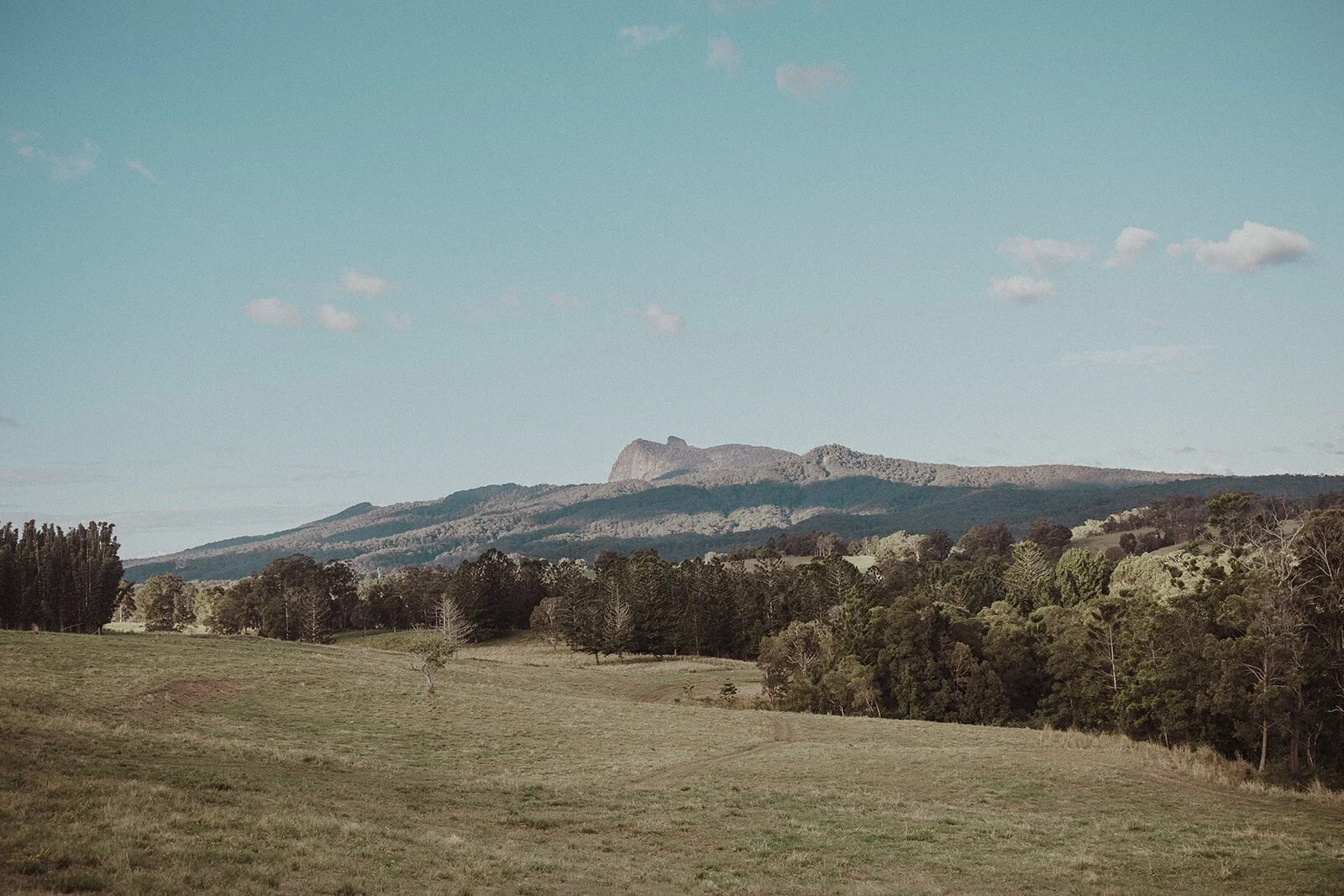 Hinterland paddock with a mountain peak in the distance, Sam and Tom's elopement at Highfield Farm, Northern Rivers