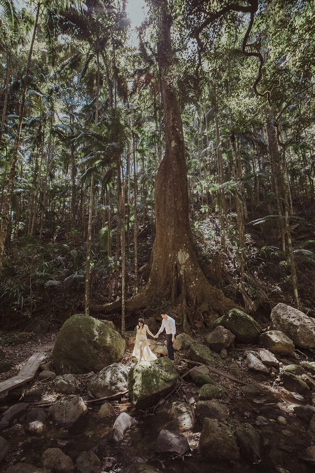 Couple walking among tall rainforest trees, Maggie and William's pre-wedding photos in Byron Bay