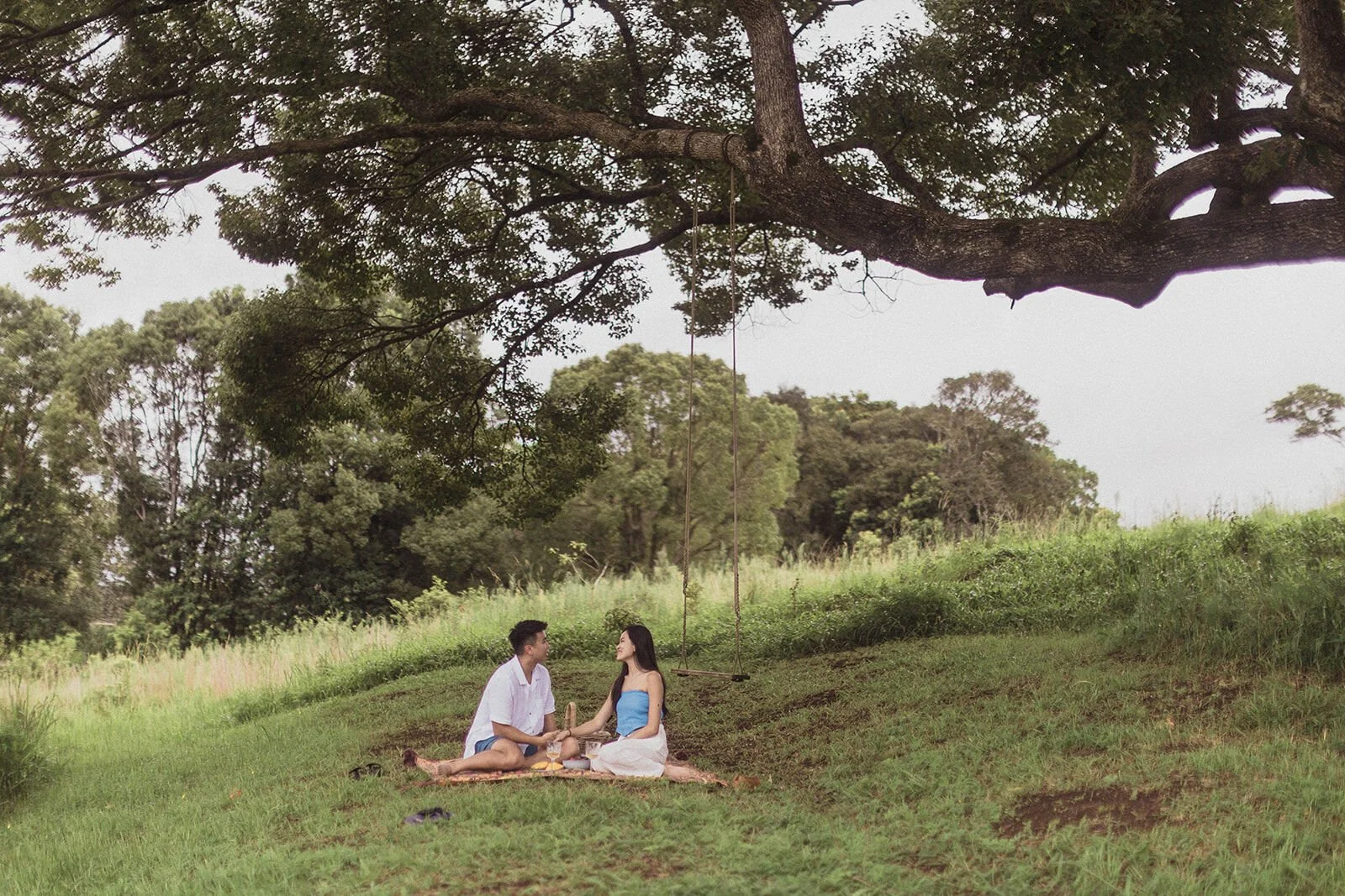 Couple sitting at their picnic on a grassy slope beneath a long branch, Darien and Jacqui's picnic marriage proposal at Heartwood Farm, Byron Bay hinterland