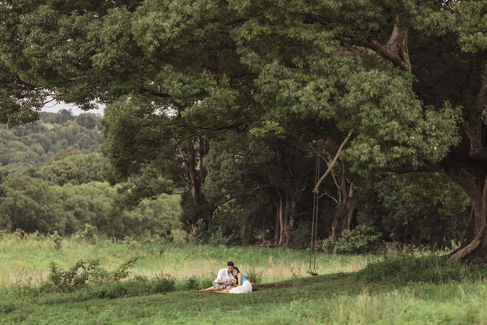 Couple on a picnic rug under the big tree with a rope swing, Darien and Jacqui's picnic marriage proposal at Heartwood Farm, Byron Bay hinterland