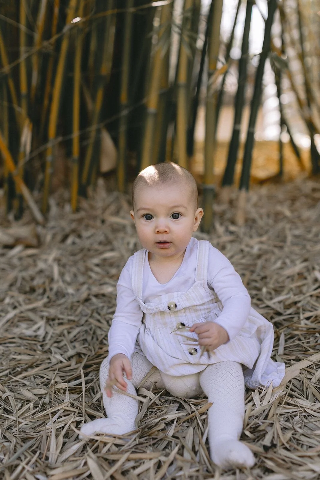 Baby girl sitting on a bed of bamboo leaves looking curiously at the camera