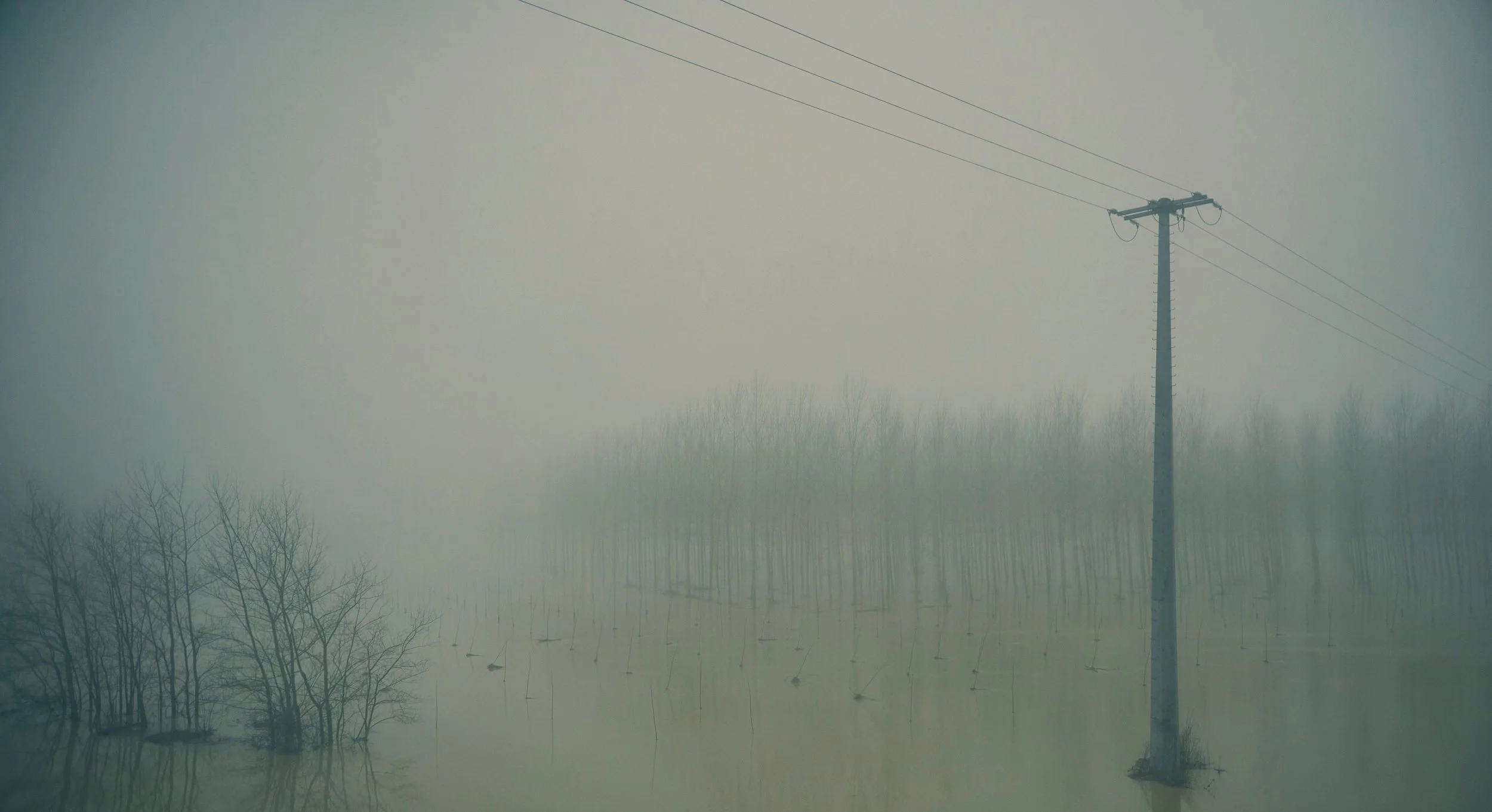 Un poteau électrique avec des fils électriques traversant un ciel brumeux, avec des arbres dénudés en dessous.