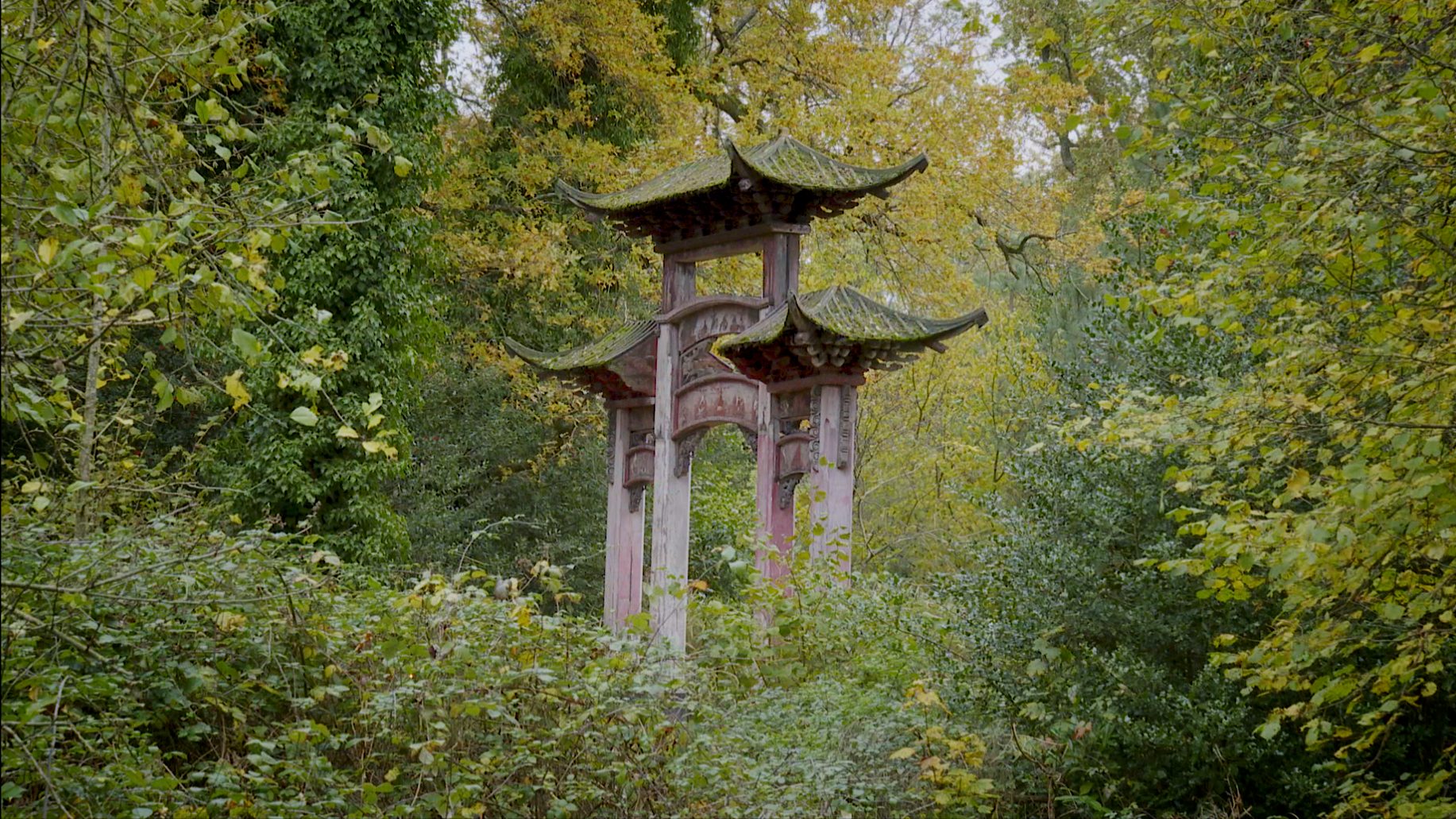 Une ancienne arche en bois dans une forêt dense et verdoyante, avec des feuilles d'automne jaunes et vertes.