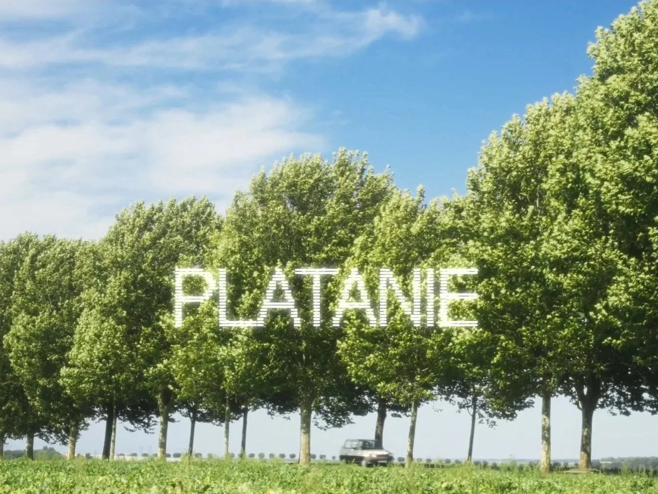 Un arbre avec une écriture lumineuse indiquant 'PLATANIE', un véhicule roulant sur une route et un ciel bleu avec quelques nuages.