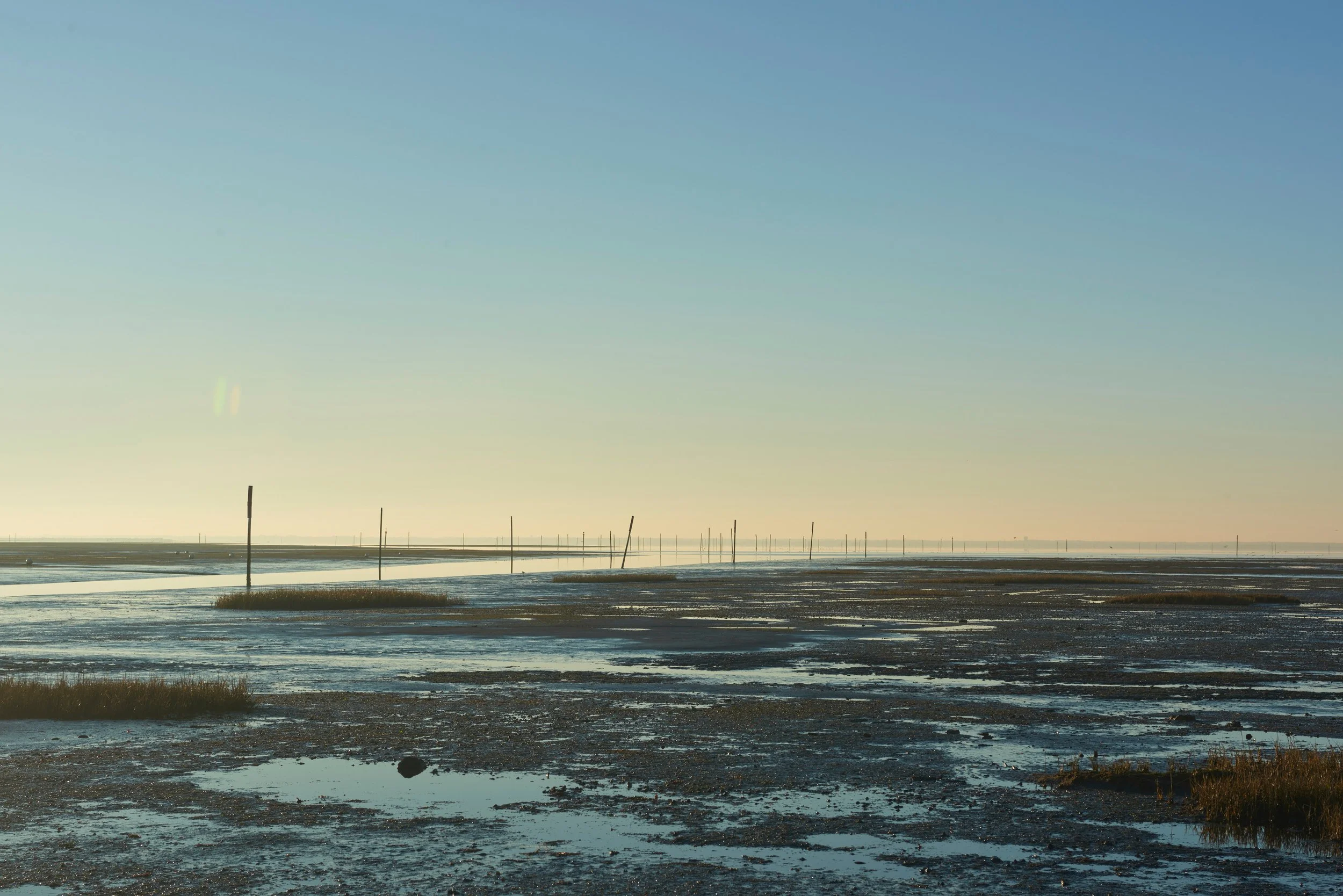 Un paysage de marais ou de zone humide avec des panneaux ou piquetas en bois plantés dans l'eau peu profonde, sous un ciel clair et une lumière douce, probablement en fin d'après-midi ou en matinée.