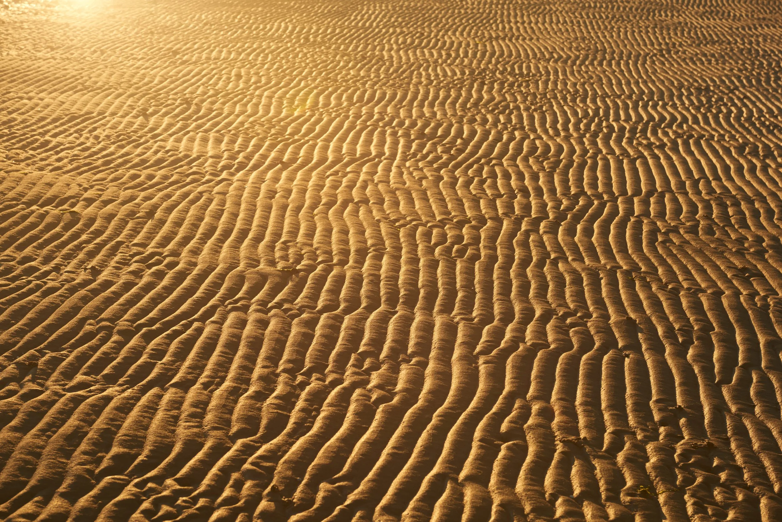 Vagues de sable dans le désert avec des motifs de formations de dunes, éclairées par une lumière douce du soleil.
