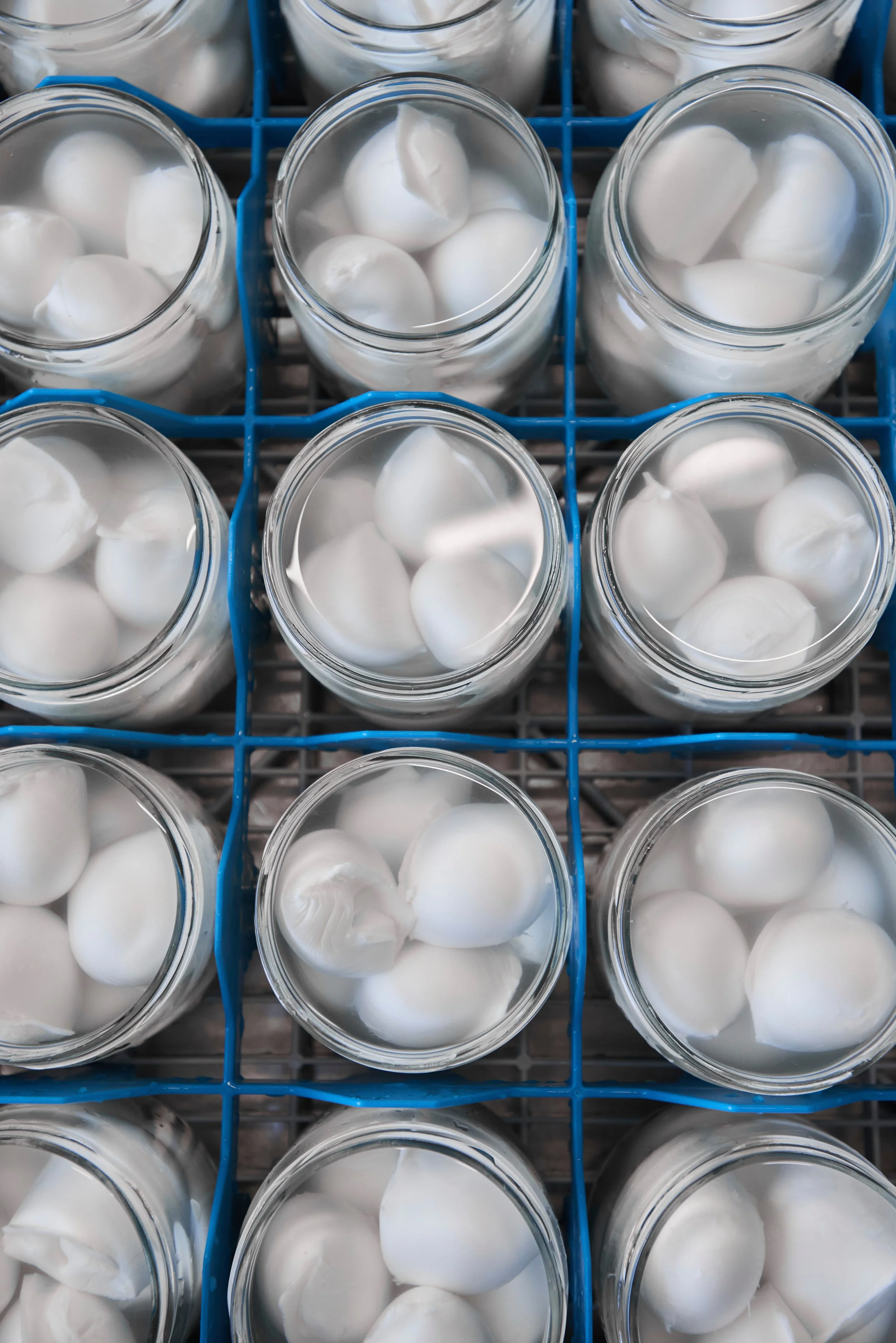 Verrerie contenant des boules de mozzarella dans une grille en plastique bleue.