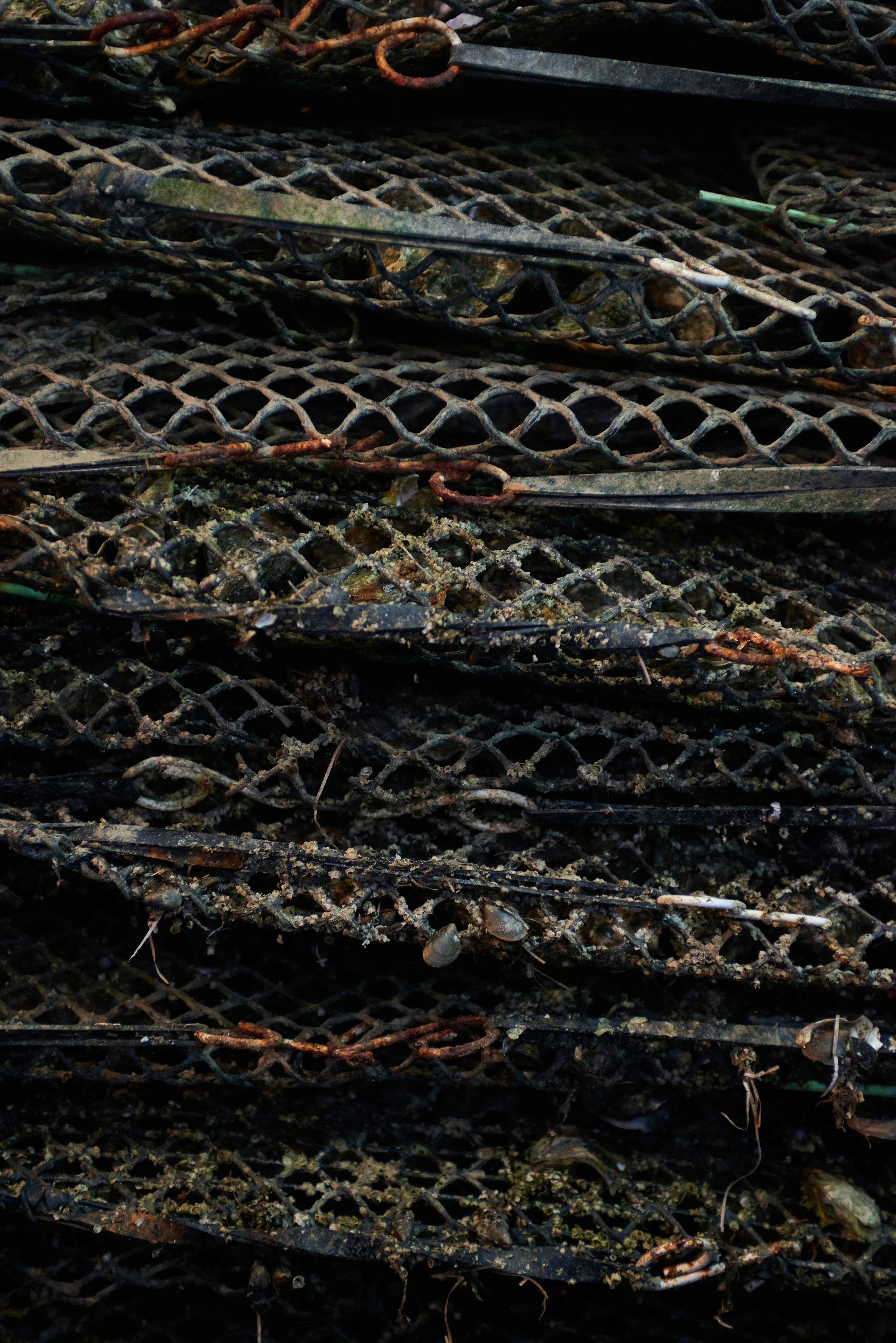 grappes de vieux filets de pêche rouillés et enchevêtrés, avec des débris naturels