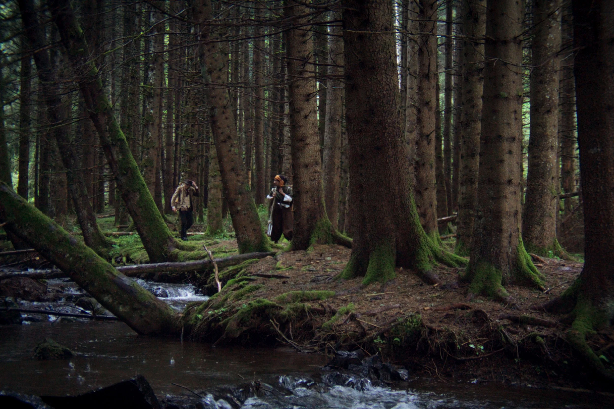 Deux personnes explorant une forêt dense avec des arbres grands et recouverts de mousse verte, près d'une petite rivière ou d'un ruisseau.