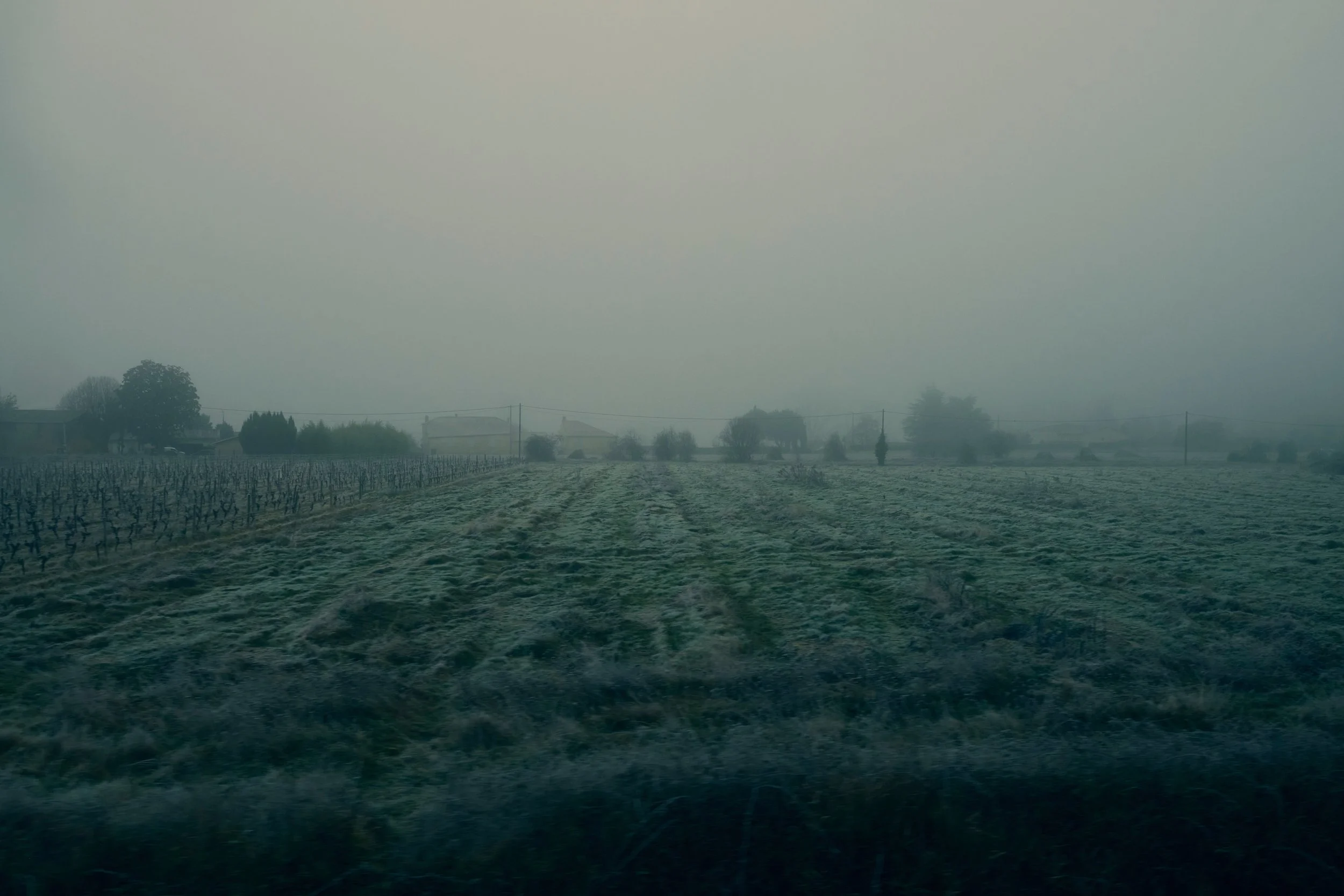 Champ agricoles sous un ciel brumeux, avec une fine couche de glace ou de givre sur le sol.
