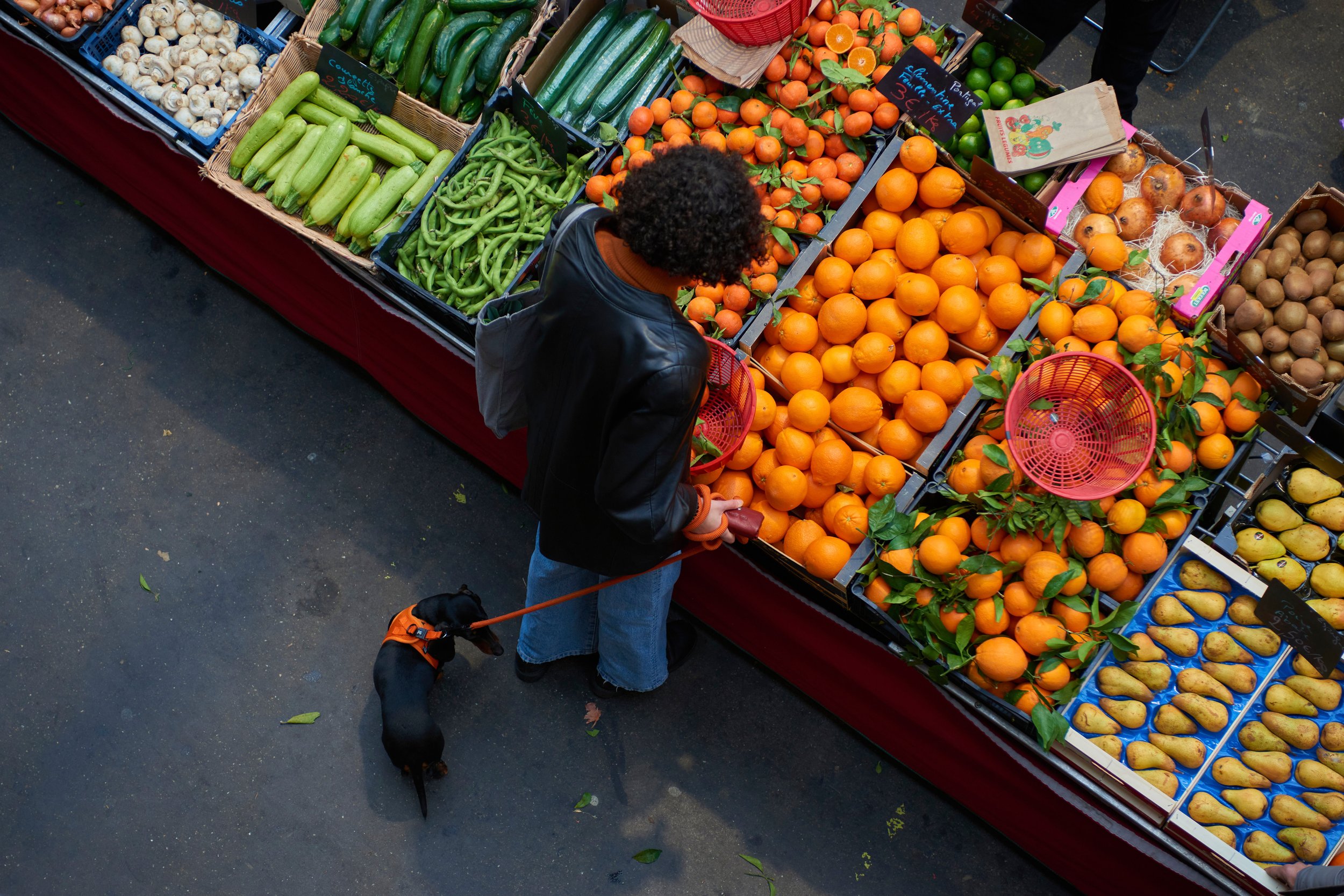 Une personne avec un chien noir regarde une sélection de fruits et légumes dans un marché en plein air. Il y a des oranges, des citrons, des concombres, des zucchinis, des champignons, etc.