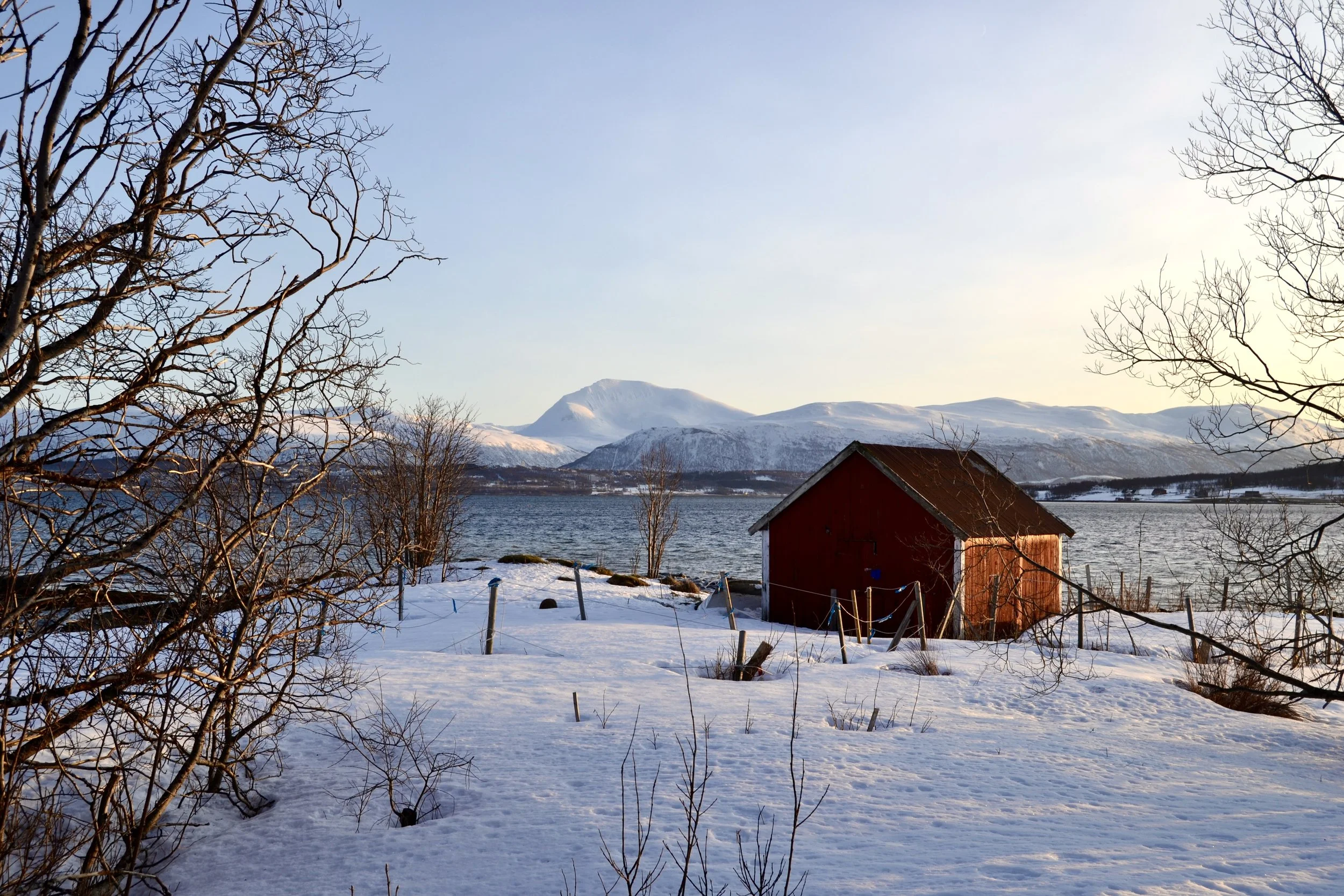 DSC_0548.JPG