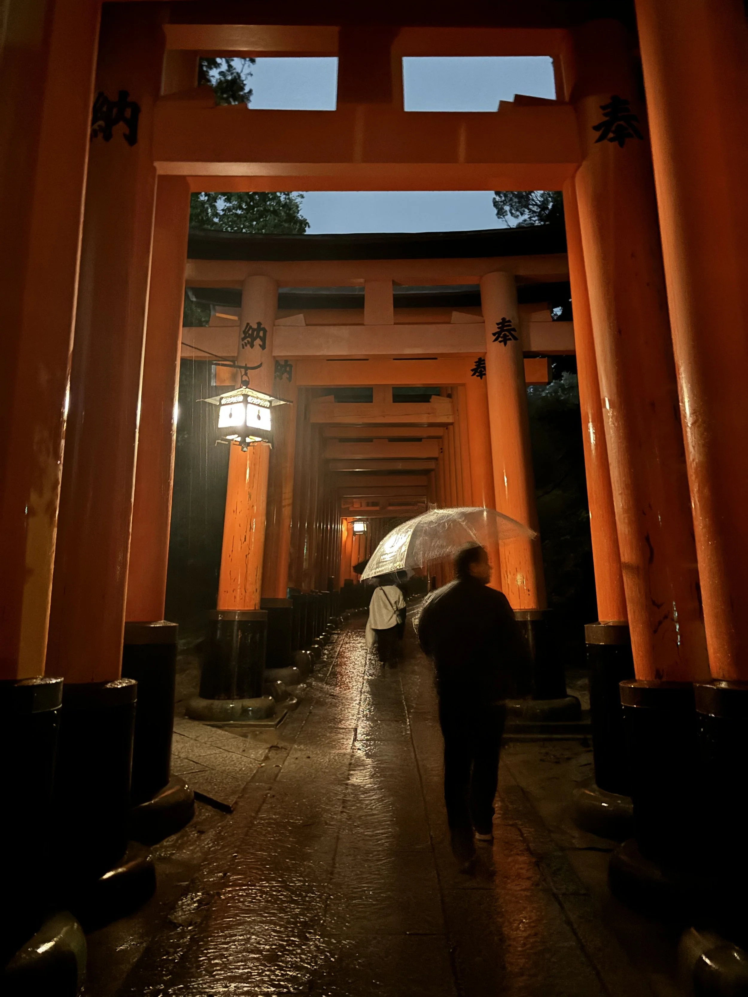 IMG_2480.jpeg