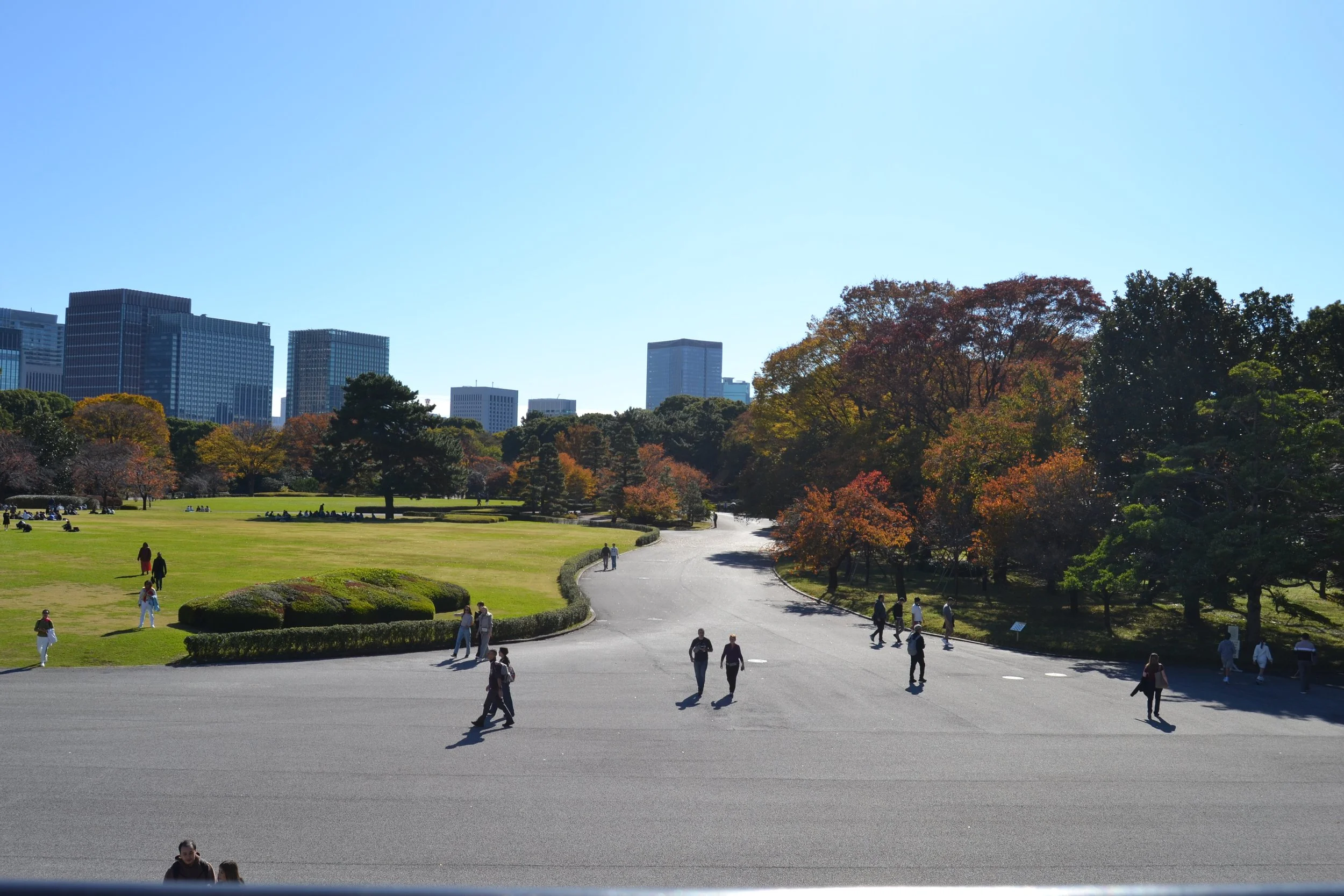 DSC_0452.JPG