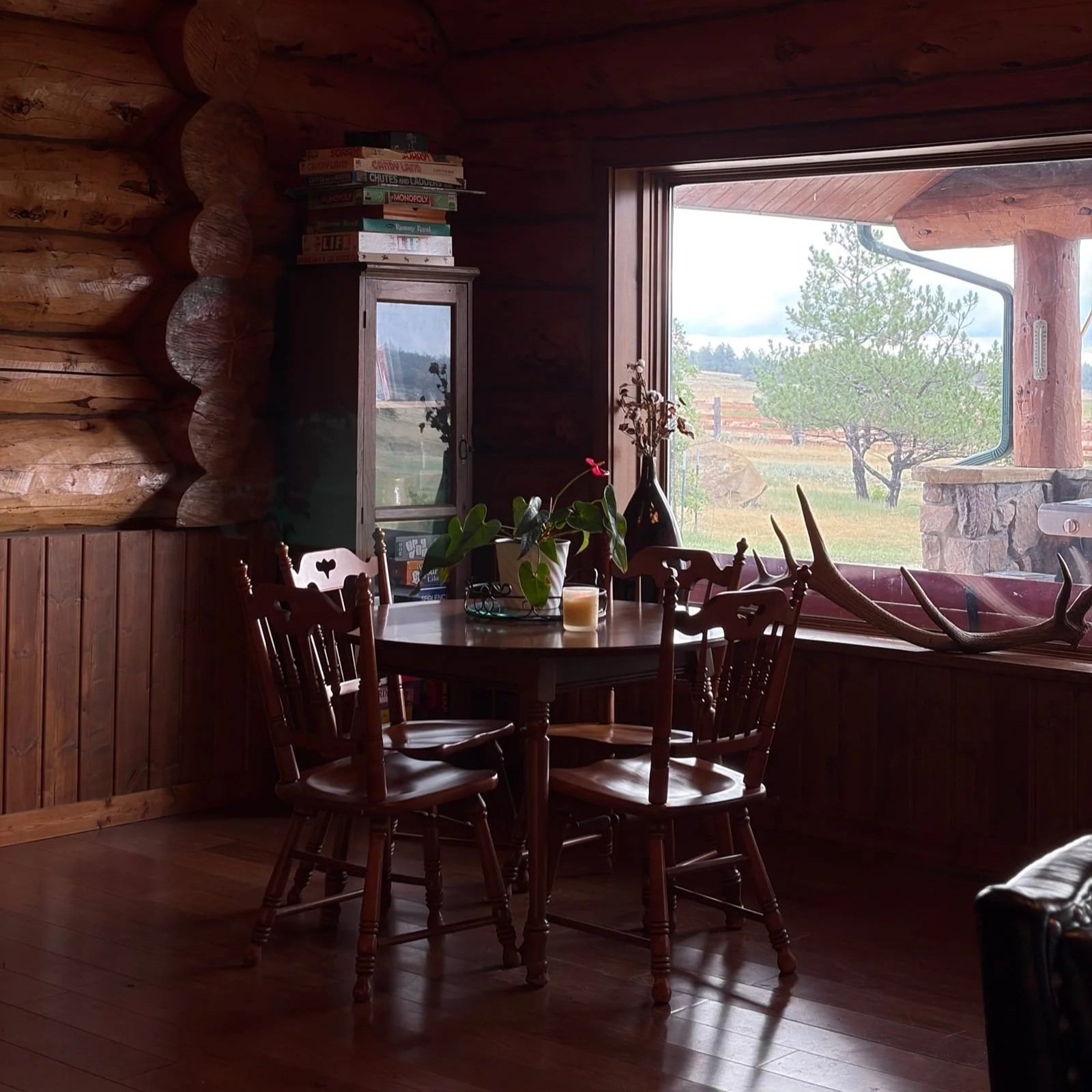 Inside a wooden cabin with a round wooden table, four wooden chairs, a potted plant, and a window showing outdoor trees and landscape.